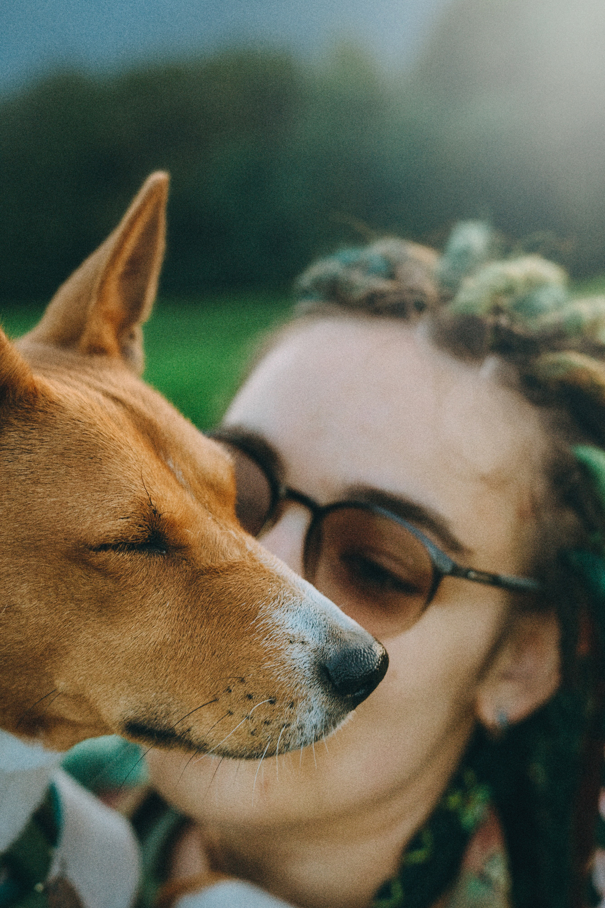 Арина и Рики. Фотограф анималист в Москве и Санкт-Петербурге Свиридова Анна