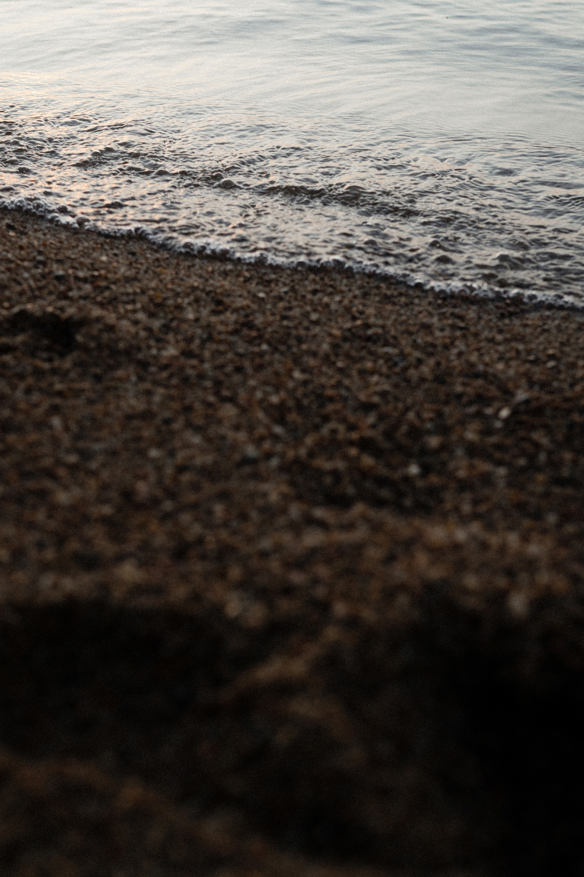 Даша, Сергей и Френки. Фотограф анималист в Москве и Санкт-Петербурге Свиридова Анна