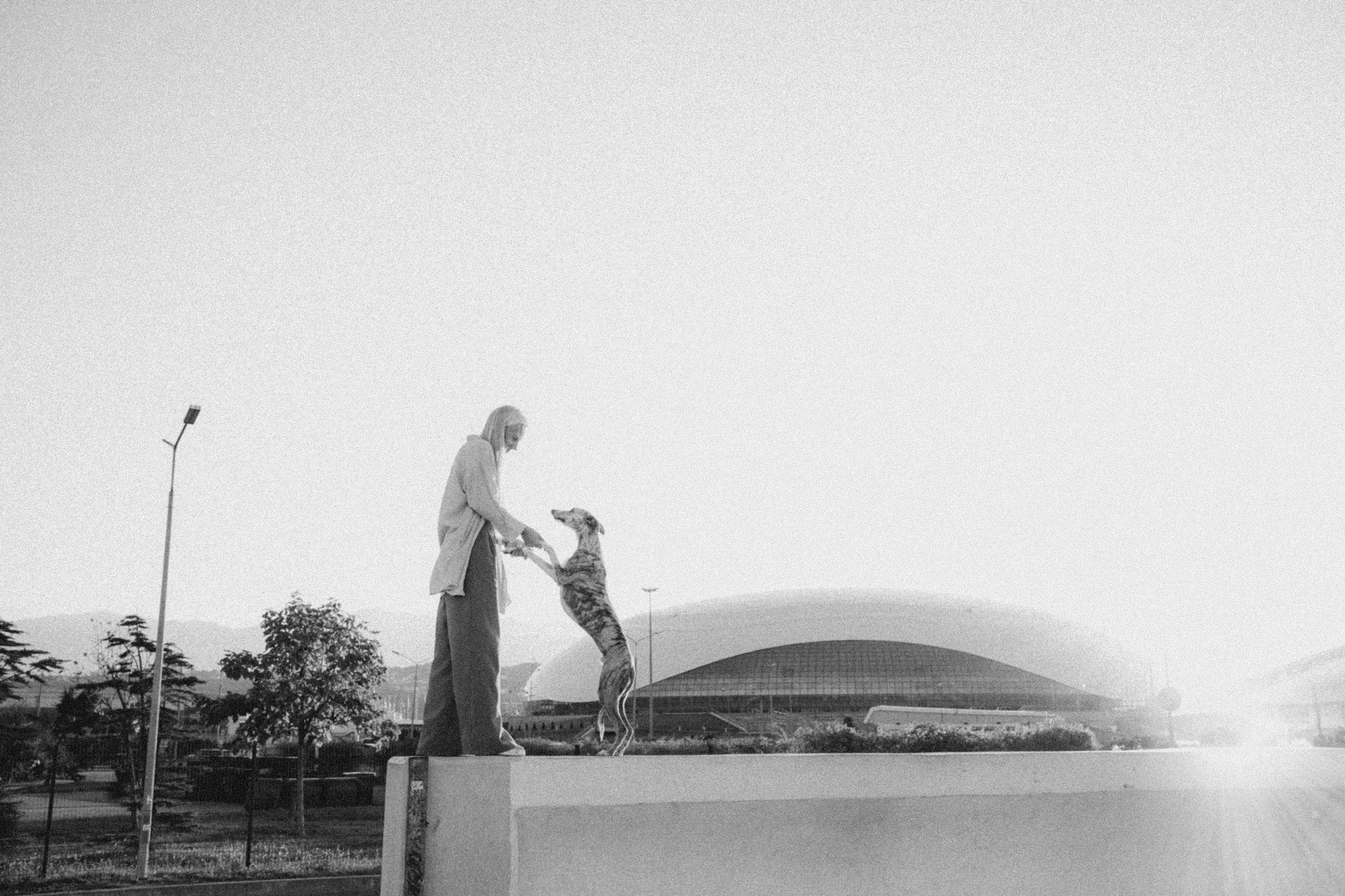 Аня и Джованни. Фотограф анималист в Москве и Санкт-Петербурге Свиридова Анна