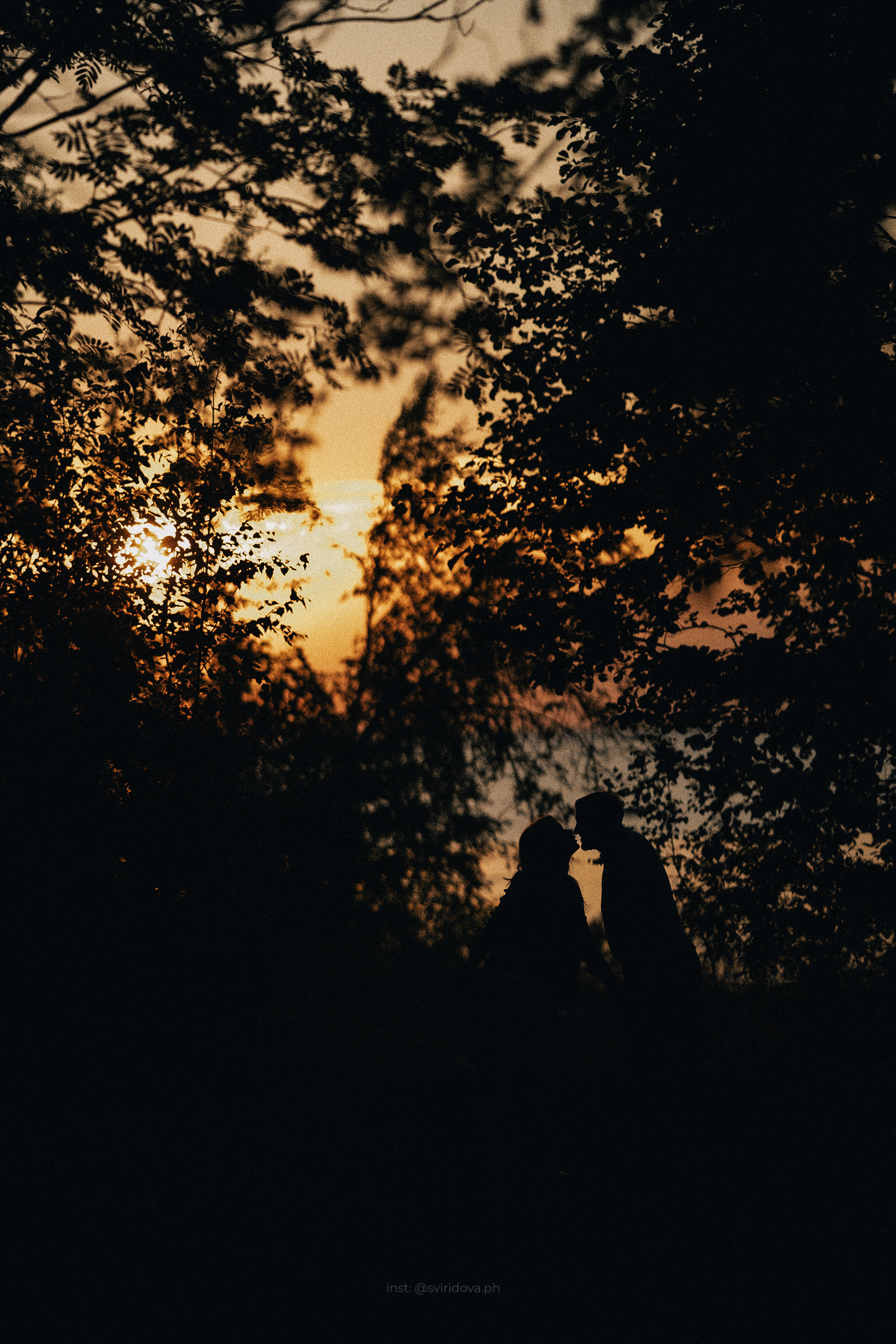 Даша, Сергей и Френки. Фотограф анималист в Москве и Санкт-Петербурге Свиридова Анна