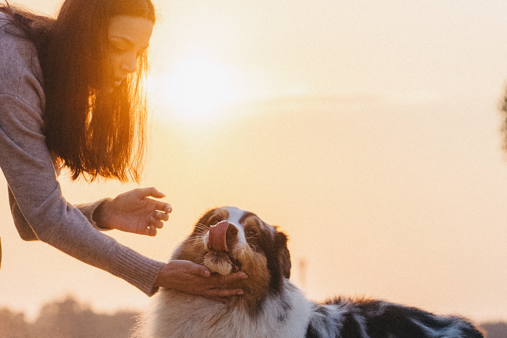 Аня, Игорь, Аусь и Хась. Фотограф анималист в Москве и Санкт-Петербурге Свиридова Анна