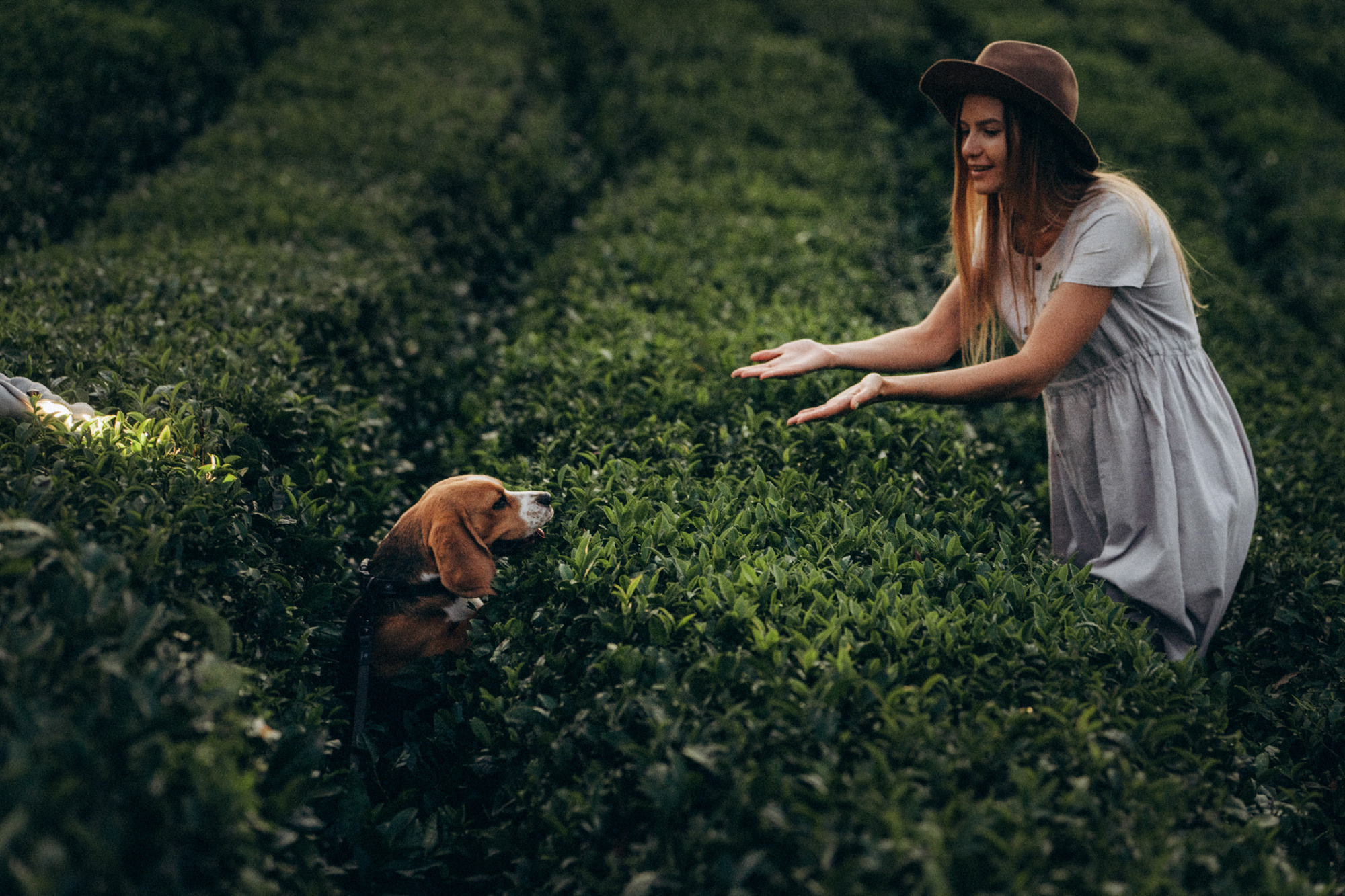 Женя и Мира. Фотограф анималист в Москве и Санкт-Петербурге Свиридова Анна