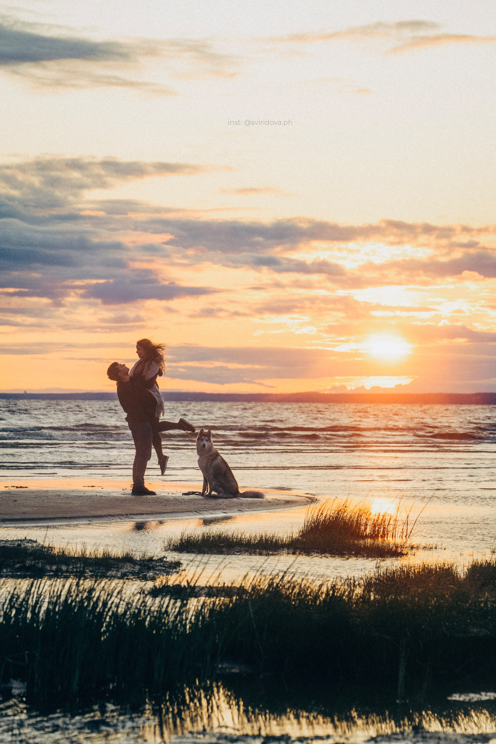 Катя, Илья, Лагерта. Фотограф анималист в Москве и Санкт-Петербурге Свиридова Анна