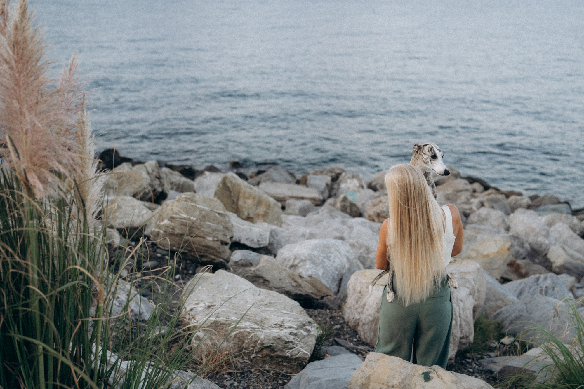 Аня и Джованни. Фотограф анималист в Москве и Санкт-Петербурге Свиридова Анна