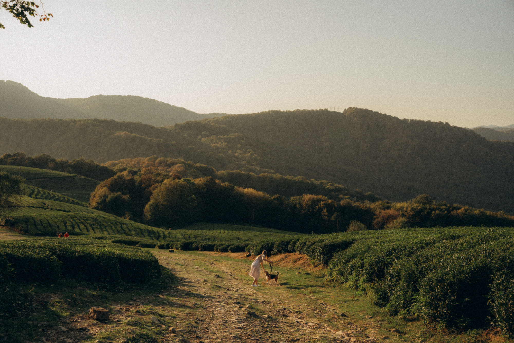 Женя и Мира. Фотограф анималист в Москве и Санкт-Петербурге Свиридова Анна