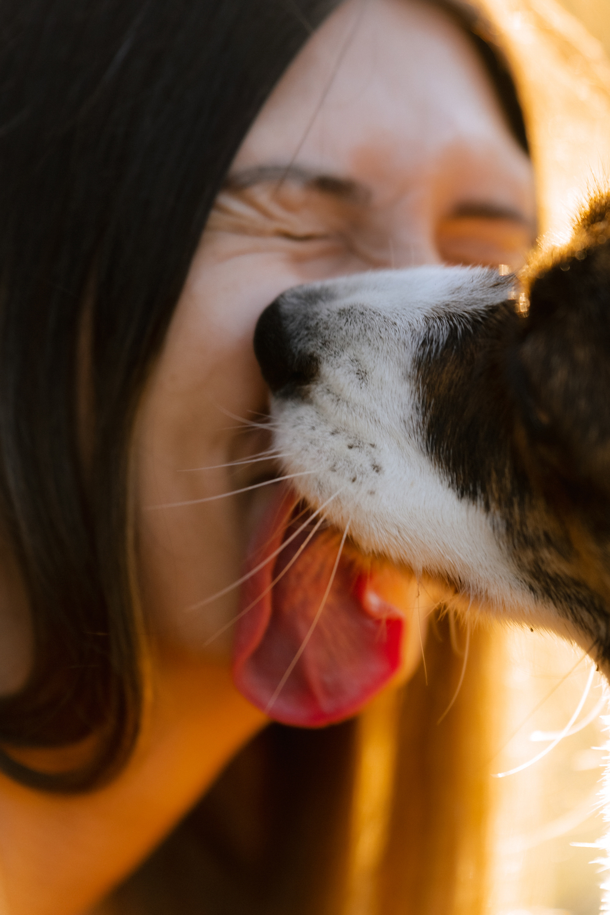 Влада и Коржики. Фотограф анималист в Москве и Санкт-Петербурге Свиридова Анна