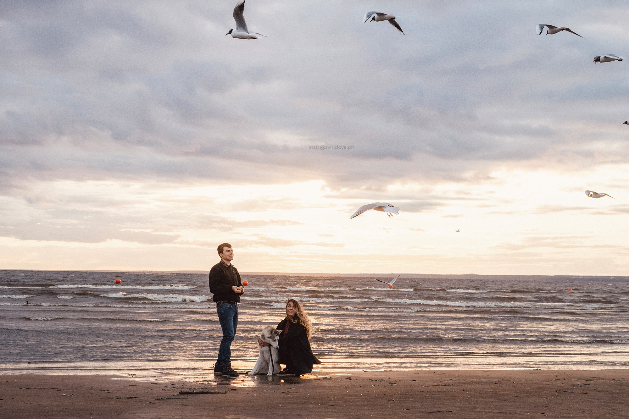 Катя, Илья, Лагерта. Фотограф анималист в Москве и Санкт-Петербурге Свиридова Анна