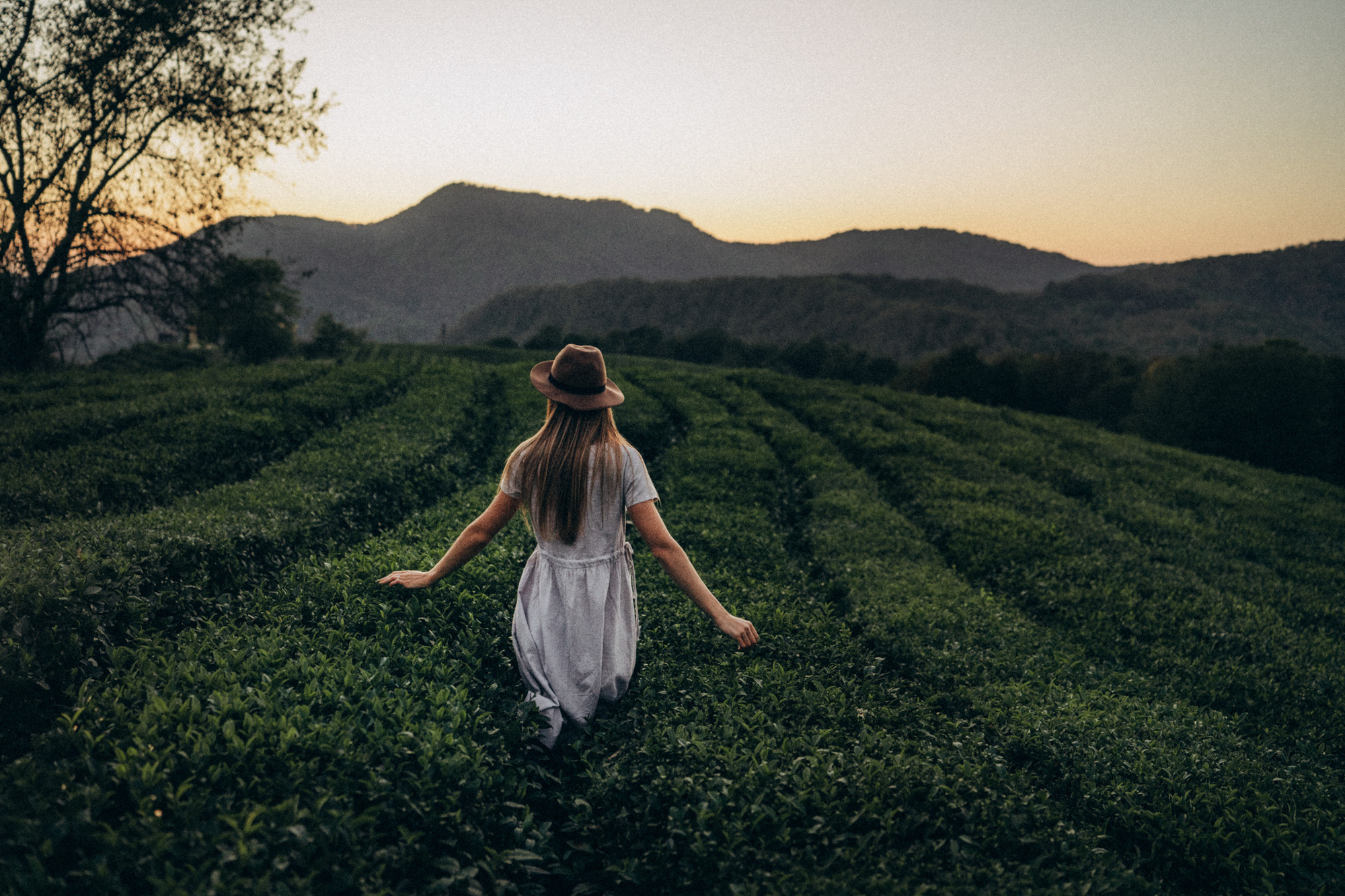 Женя и Мира. Фотограф анималист в Москве и Санкт-Петербурге Свиридова Анна