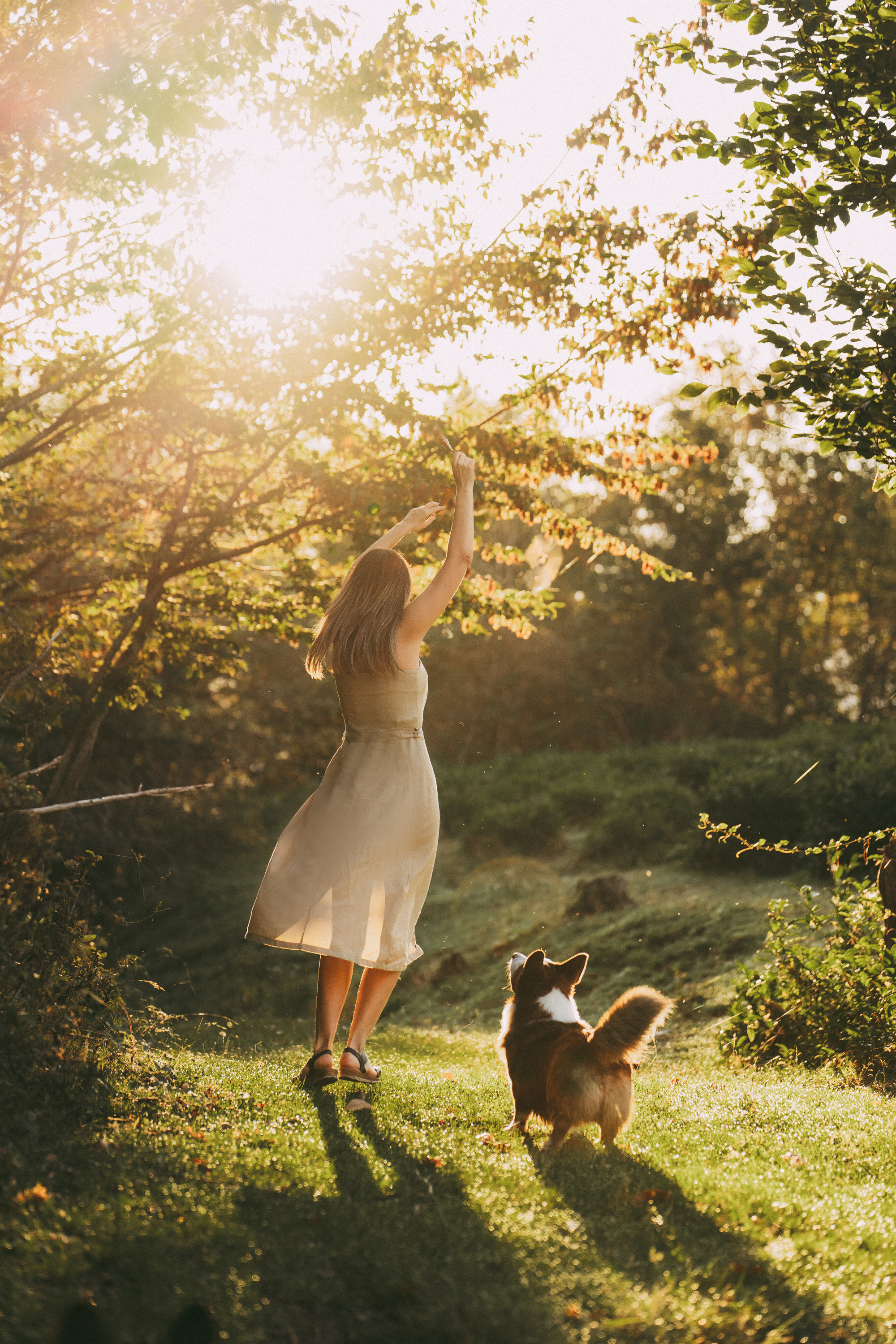 Влада и Коржики. Фотограф анималист в Москве и Санкт-Петербурге Свиридова Анна