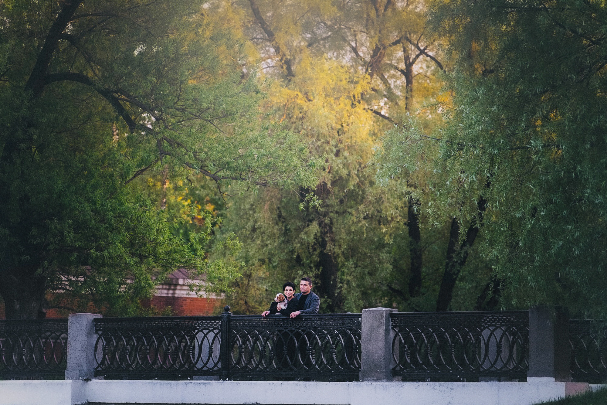 Амина, Андрей и Умка. Фотограф анималист в Москве и Санкт-Петербурге Свиридова Анна