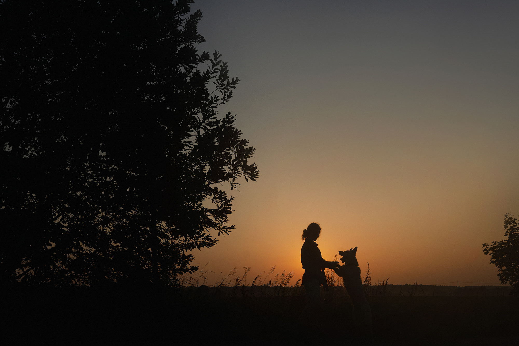 Лиза и Юста. Фотограф анималист в Москве и Санкт-Петербурге Свиридова Анна