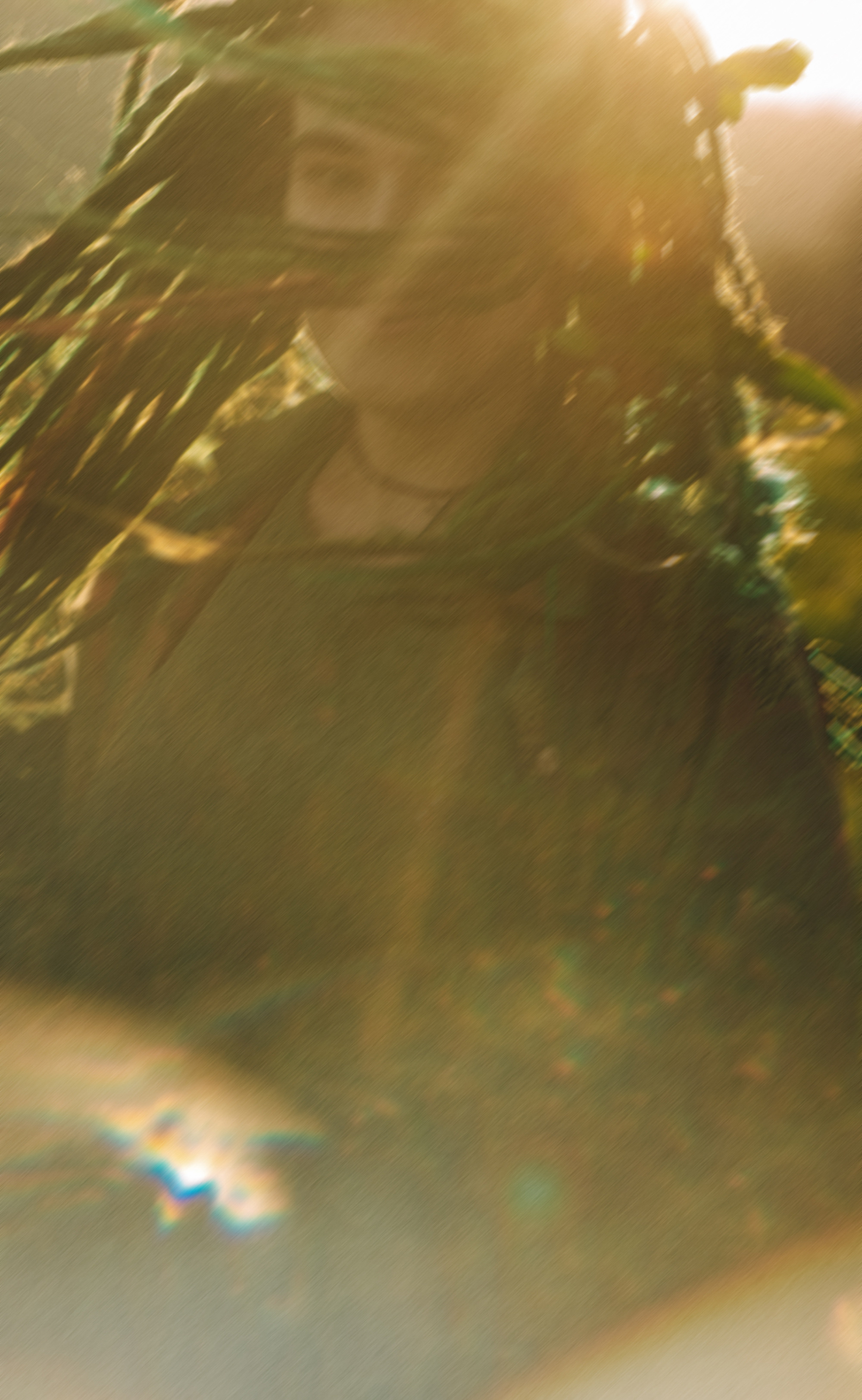 Арина и Рики. Фотограф анималист в Москве и Санкт-Петербурге Свиридова Анна