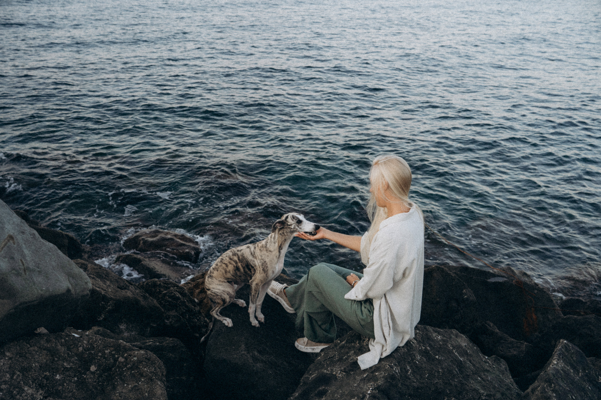 Аня и Джованни. Фотограф анималист в Москве и Санкт-Петербурге Свиридова Анна