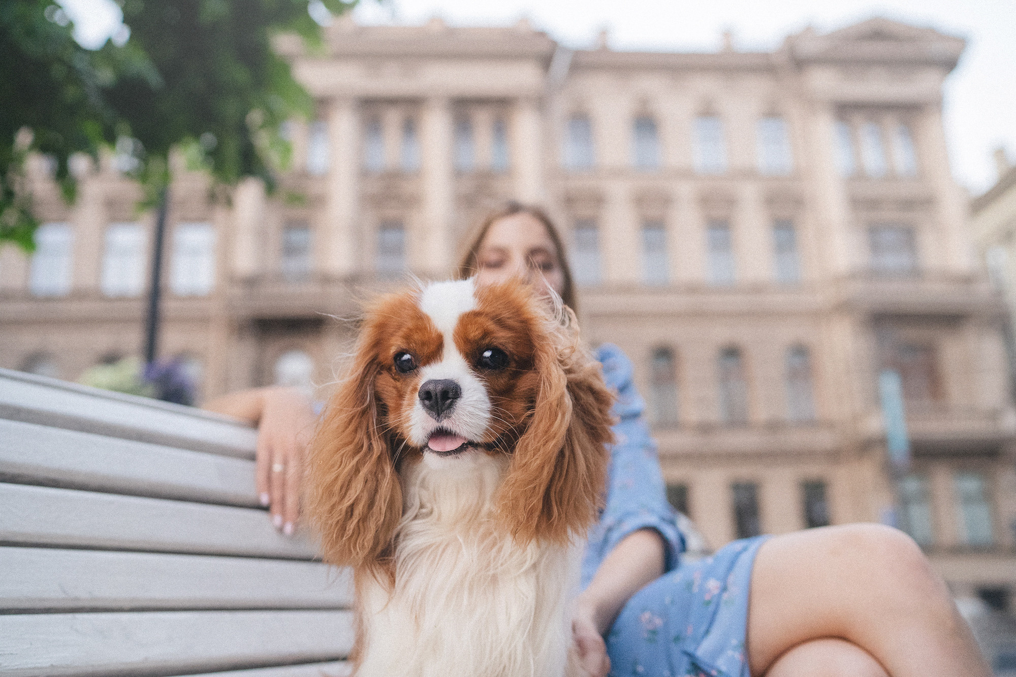 Таня и Лео. Фотограф анималист в Москве и Санкт-Петербурге Свиридова Анна