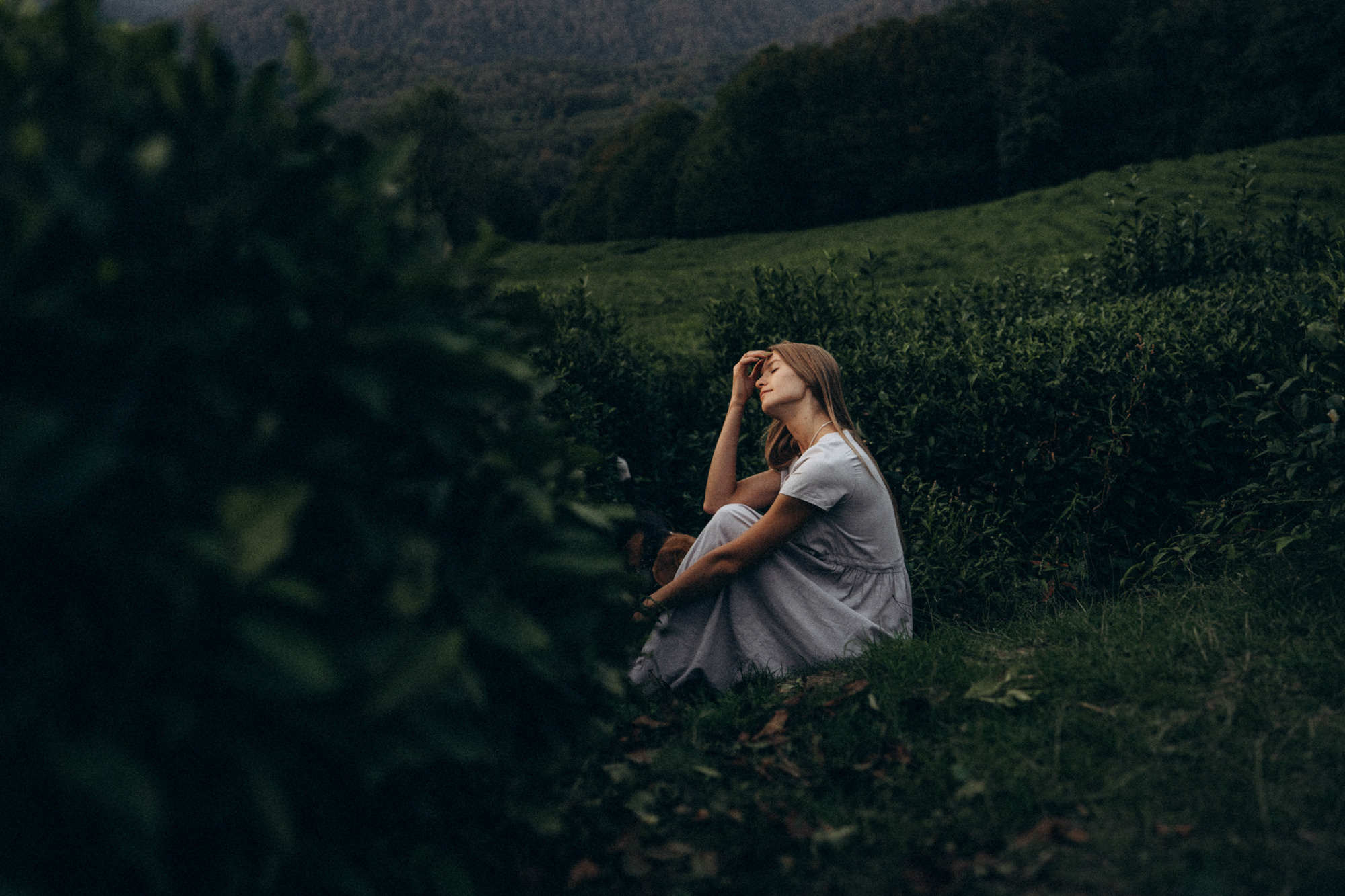 Женя и Мира. Фотограф анималист в Москве и Санкт-Петербурге Свиридова Анна