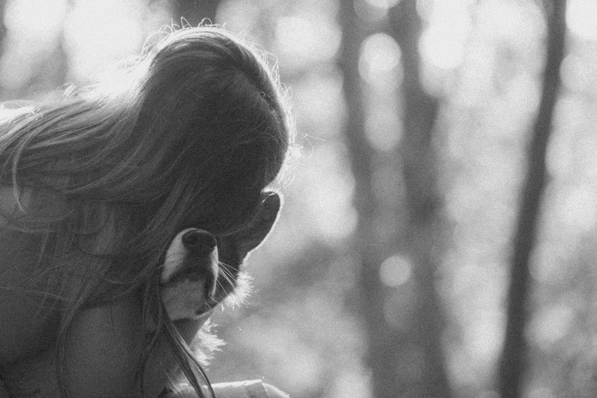 Влада и Коржики. Фотограф анималист в Москве и Санкт-Петербурге Свиридова Анна