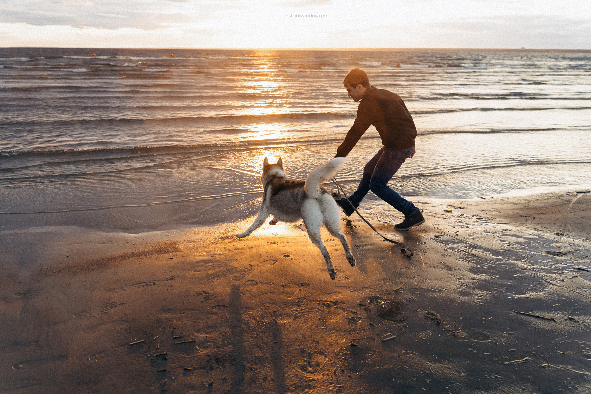 Катя, Илья, Лагерта. Фотограф анималист в Москве и Санкт-Петербурге Свиридова Анна