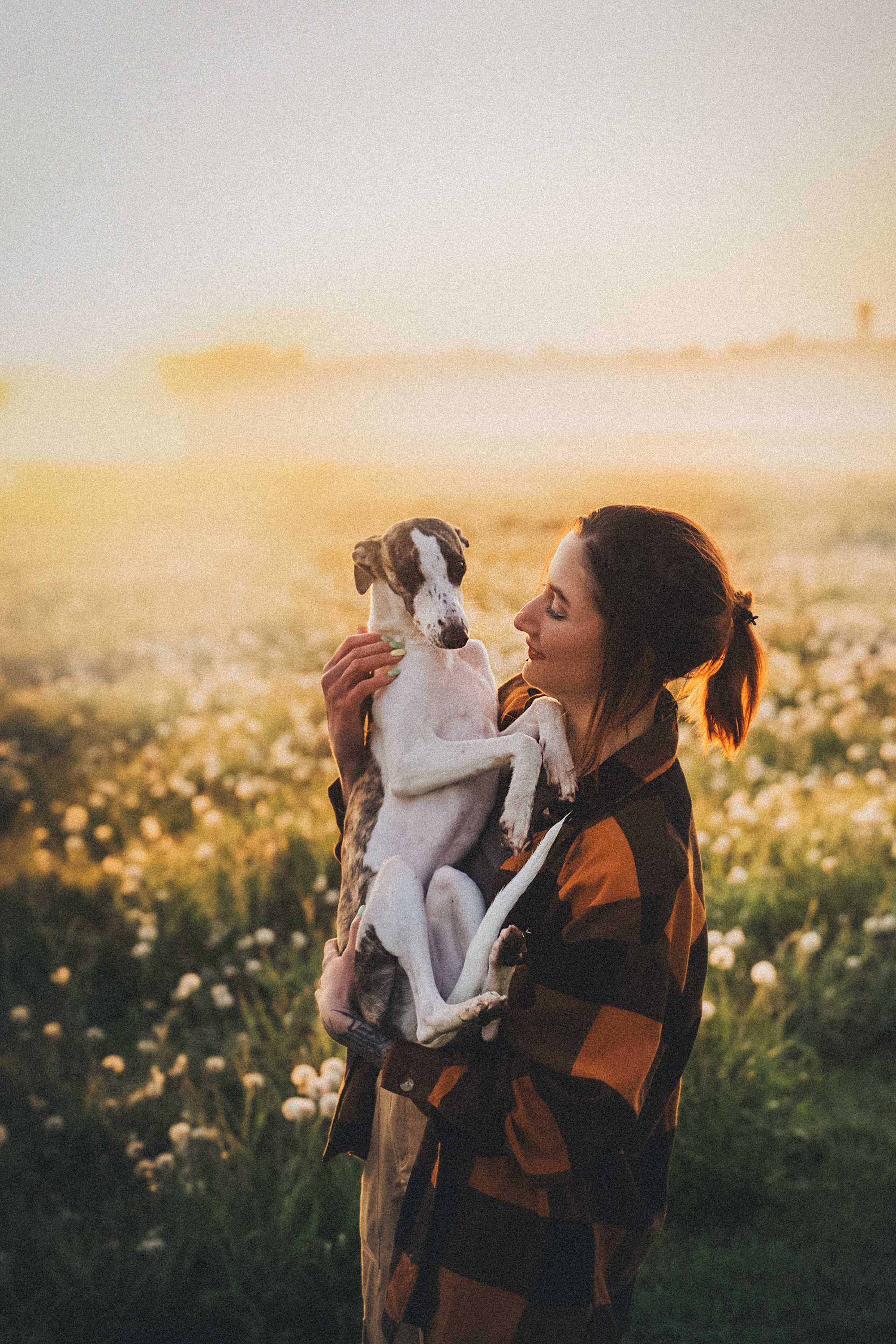 Софа, Уна и Лють. Фотограф анималист в Москве и Санкт-Петербурге Свиридова Анна