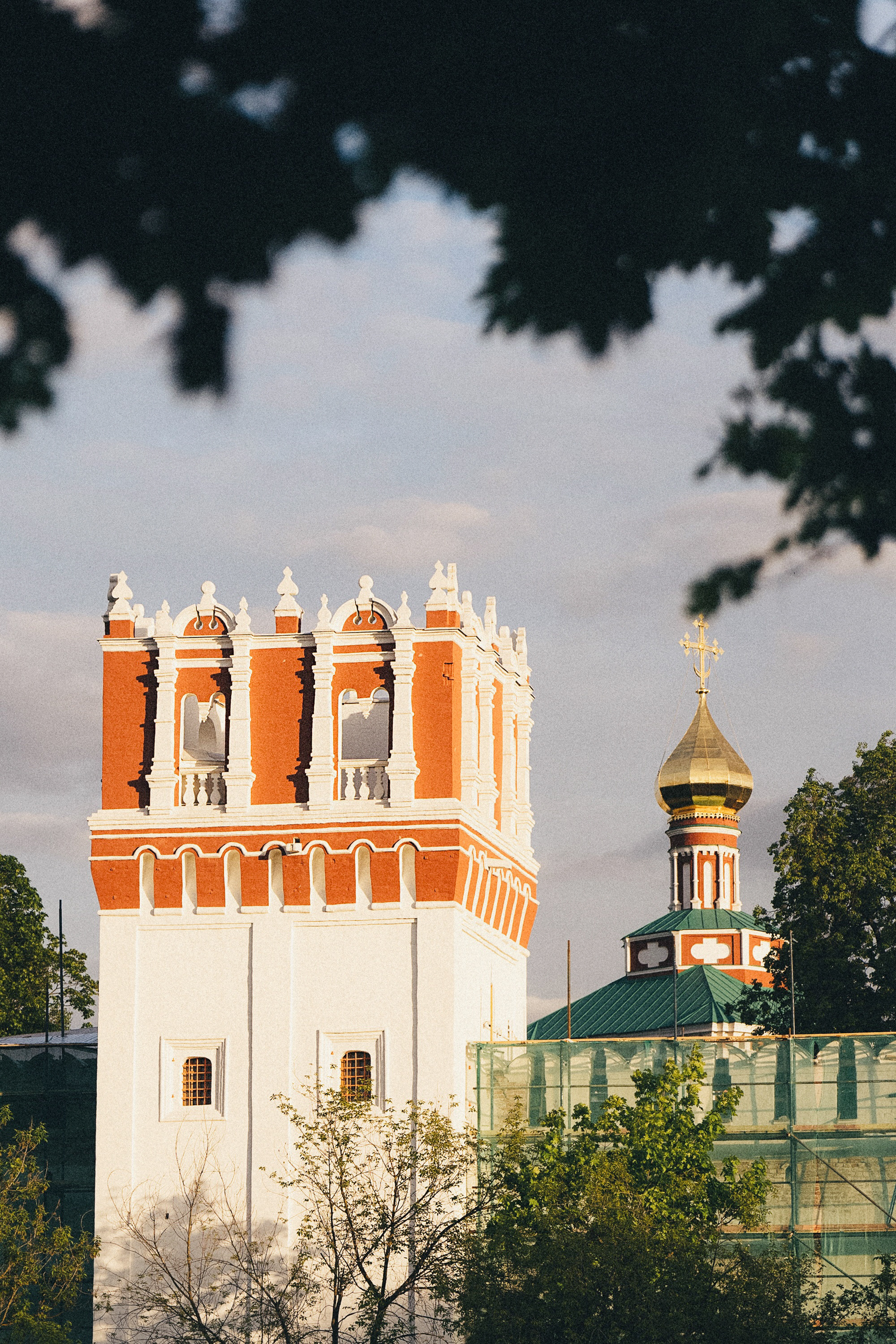 Амина, Андрей и Умка. Фотограф анималист в Москве и Санкт-Петербурге Свиридова Анна