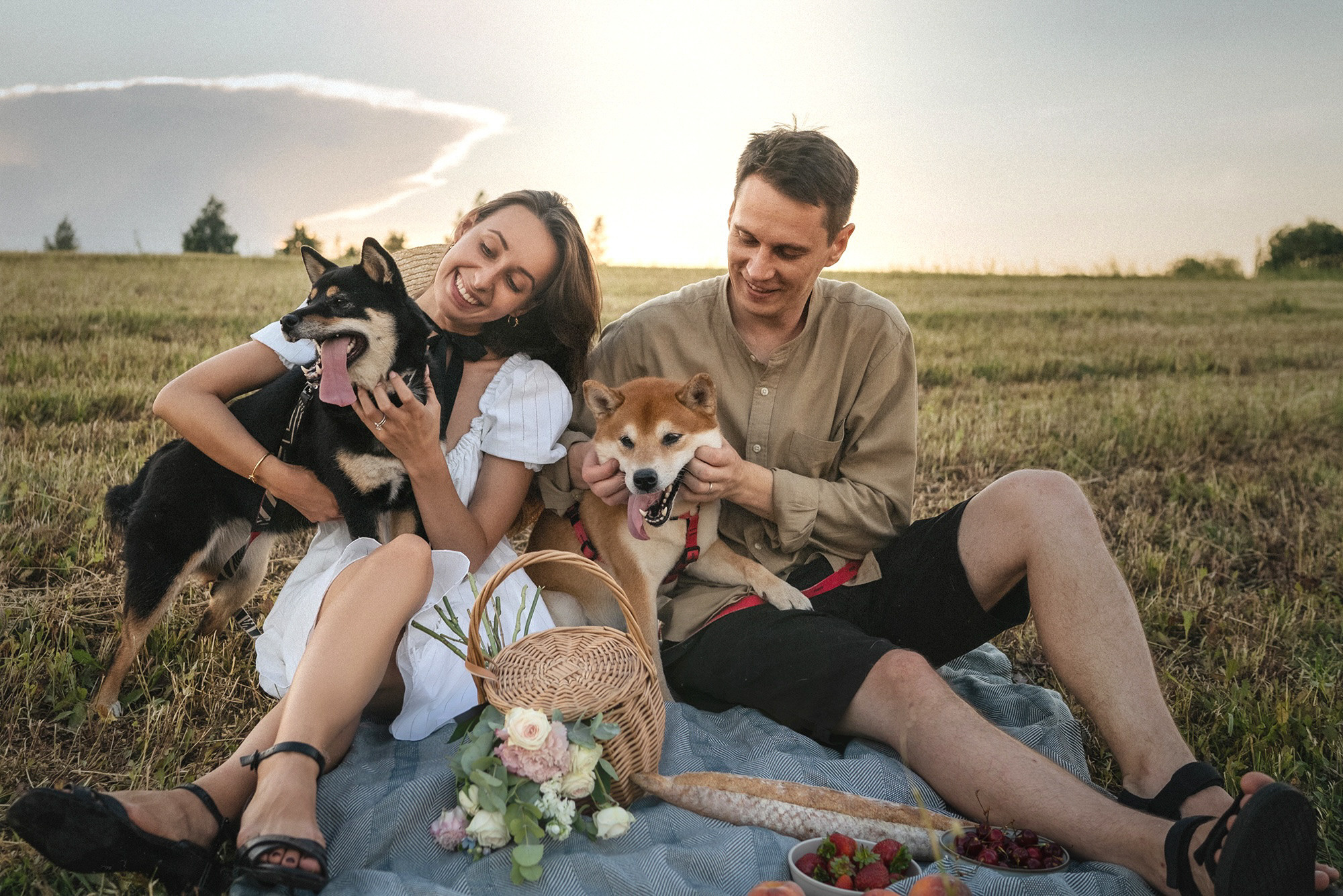 Катя, Вася, Роки и Бэлла. Фотограф анималист в Москве и Санкт-Петербурге Свиридова Анна