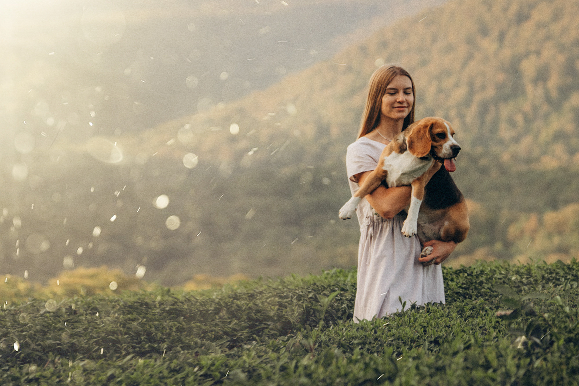 Женя и Мира. Фотограф анималист в Москве и Санкт-Петербурге Свиридова Анна