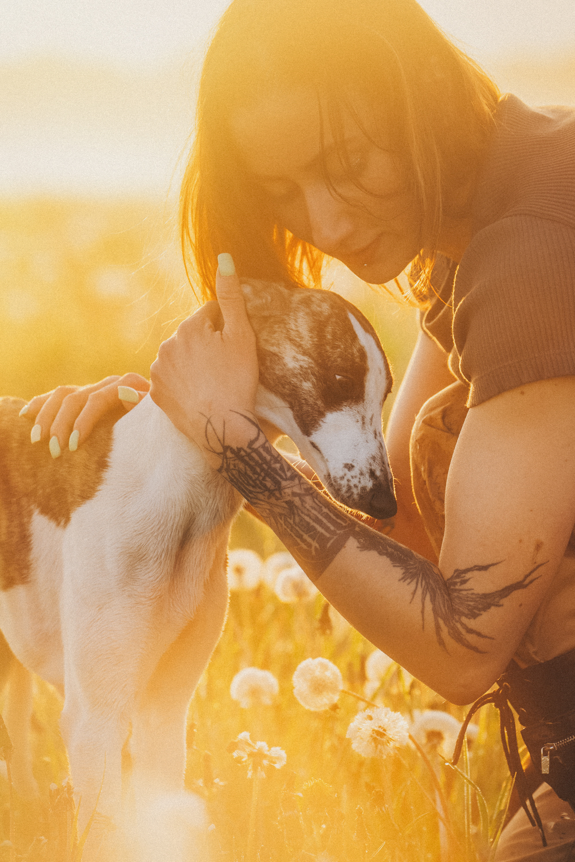 Софа, Уна и Лють. Фотограф анималист в Москве и Санкт-Петербурге Свиридова Анна