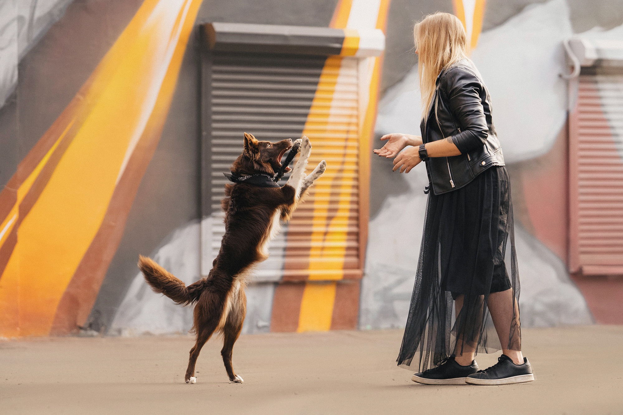 Аня и Брук. Фотограф анималист в Москве и Санкт-Петербурге Свиридова Анна