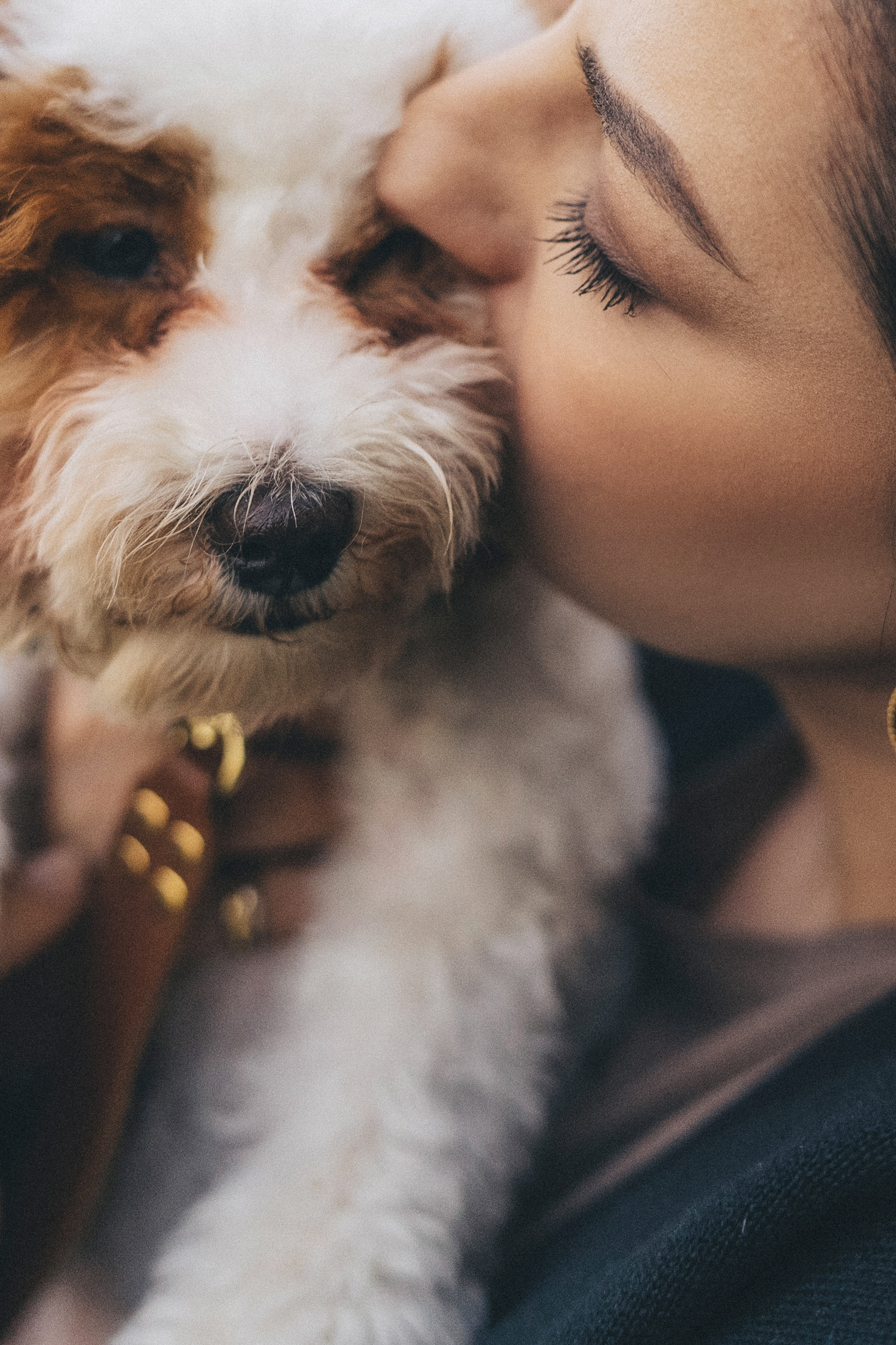 Амина, Андрей и Умка. Фотограф анималист в Москве и Санкт-Петербурге Свиридова Анна