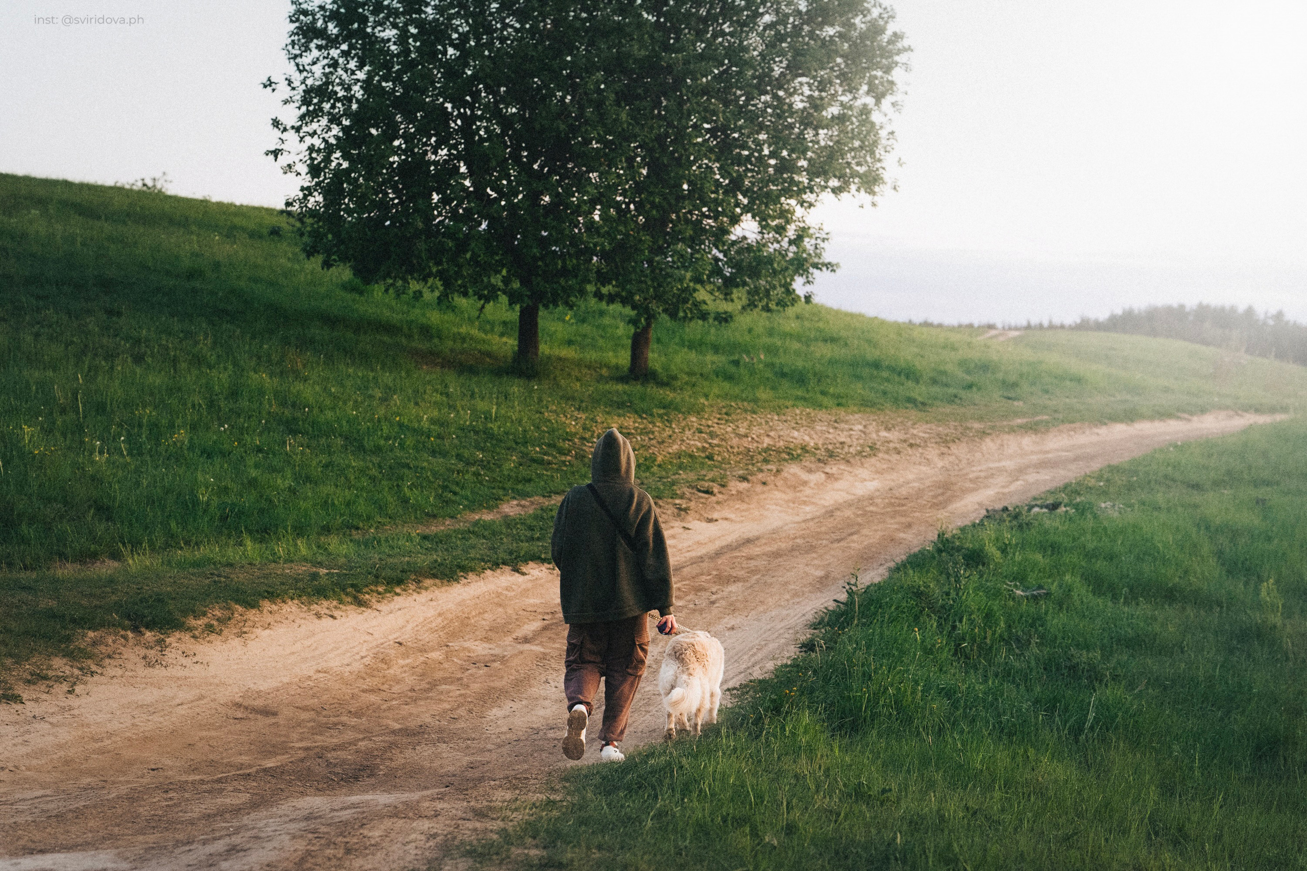 Настя и Арчи. Фотограф анималист в Москве и Санкт-Петербурге Свиридова Анна