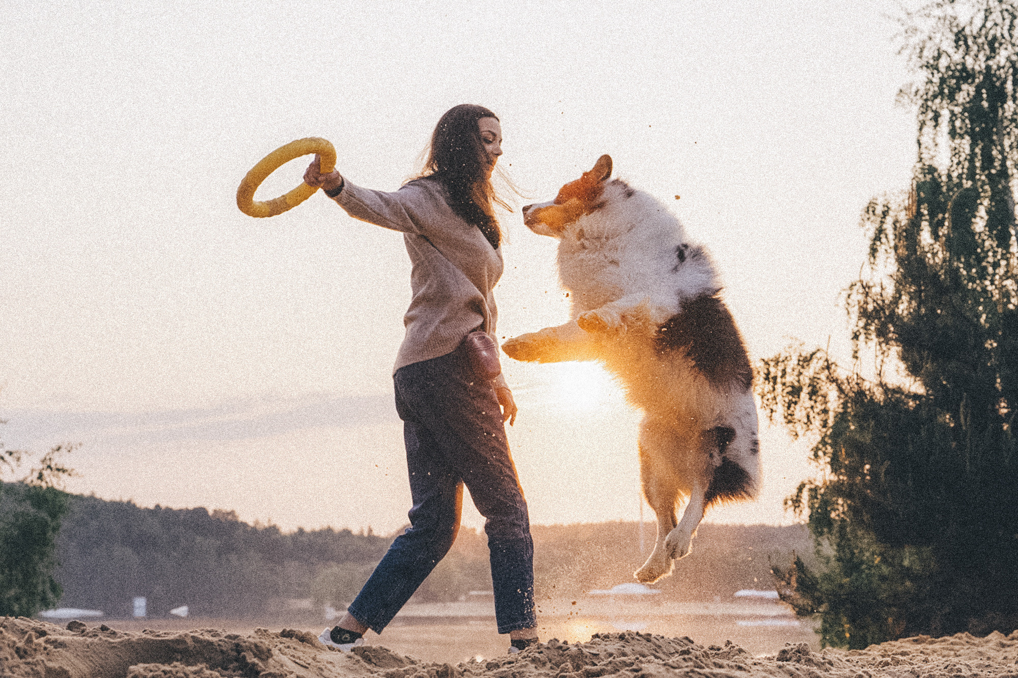 Аня, Игорь, Аусь и Хась. Фотограф анималист в Москве и Санкт-Петербурге Свиридова Анна