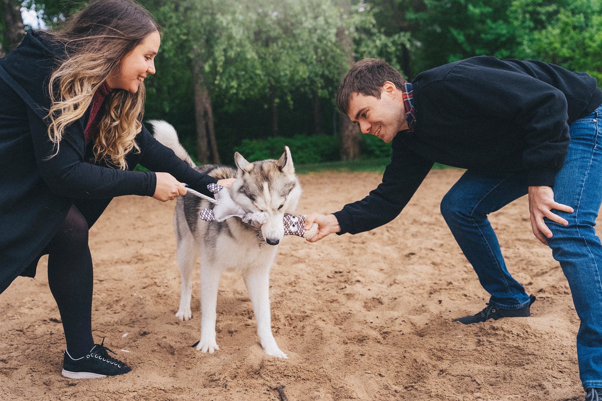 Катя, Илья, Лагерта. Фотограф анималист в Москве и Санкт-Петербурге Свиридова Анна