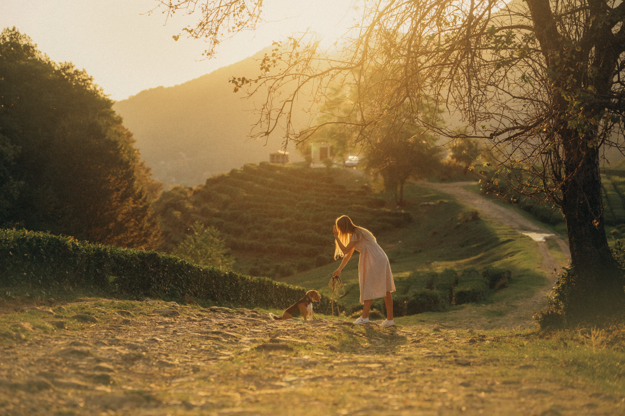 Женя и Мира. Фотограф анималист в Москве и Санкт-Петербурге Свиридова Анна