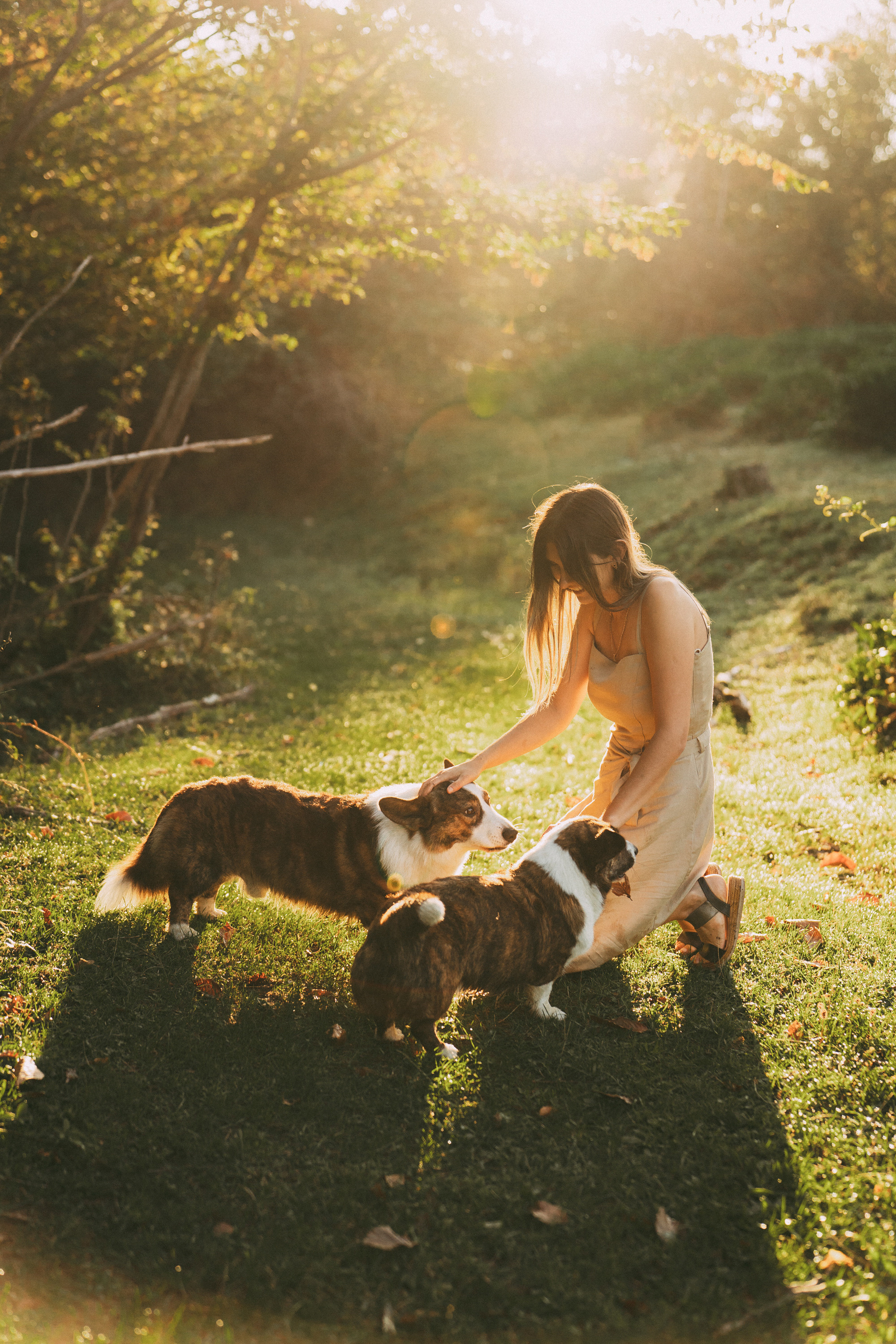 Влада и Коржики. Фотограф анималист в Москве и Санкт-Петербурге Свиридова Анна