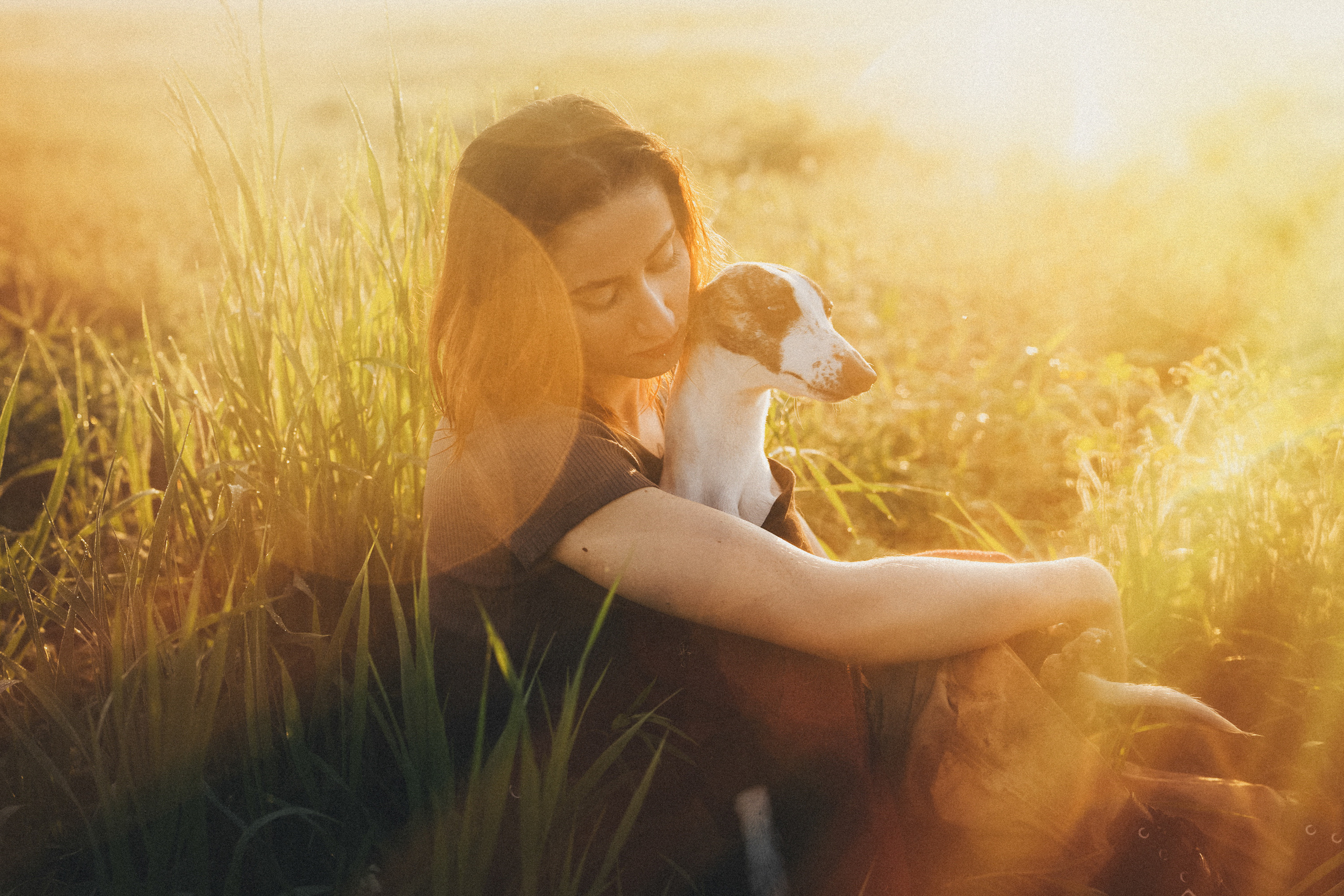 Софа, Уна и Лють. Фотограф анималист в Москве и Санкт-Петербурге Свиридова Анна