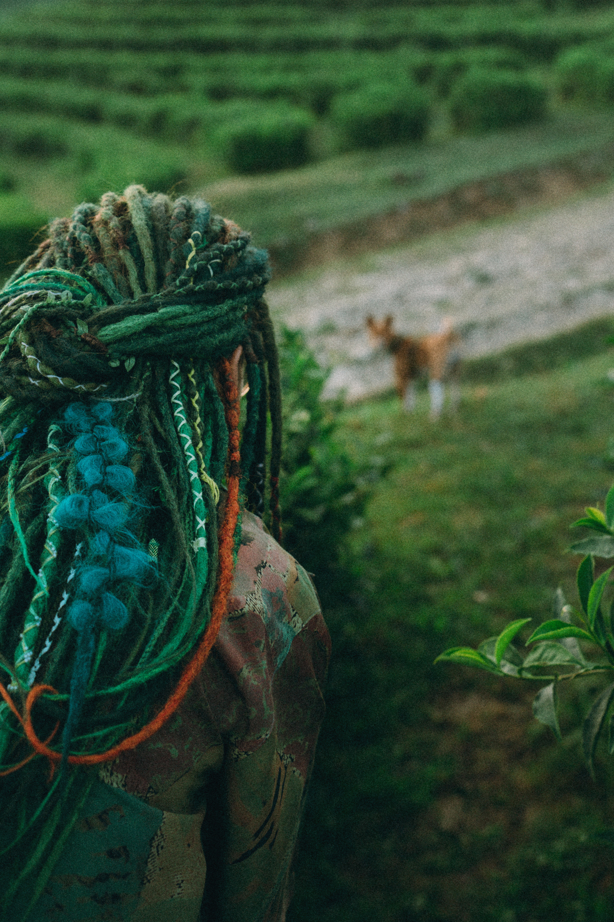 Арина и Рики. Фотограф анималист в Москве и Санкт-Петербурге Свиридова Анна