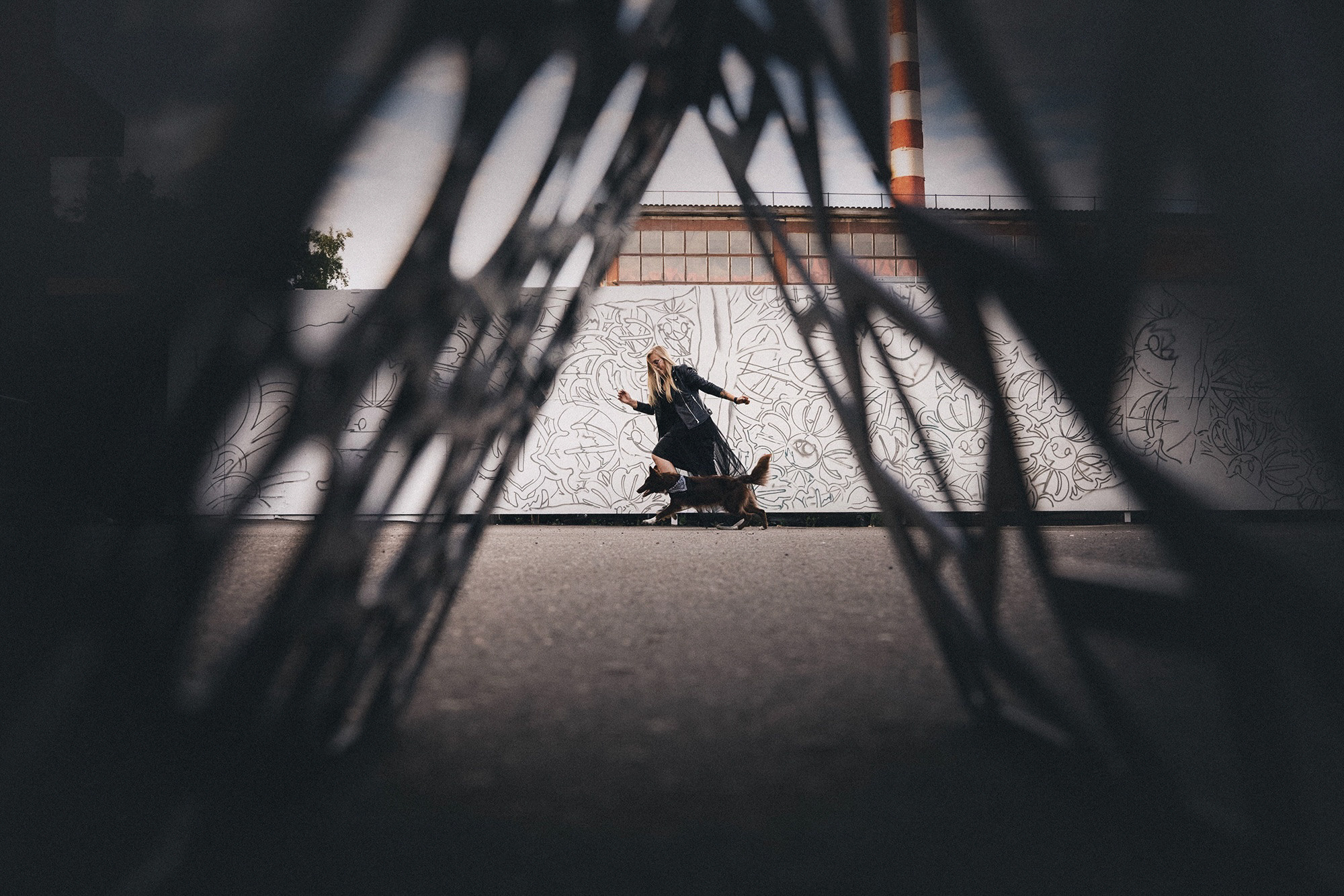 Аня и Брук. Фотограф анималист в Москве и Санкт-Петербурге Свиридова Анна
