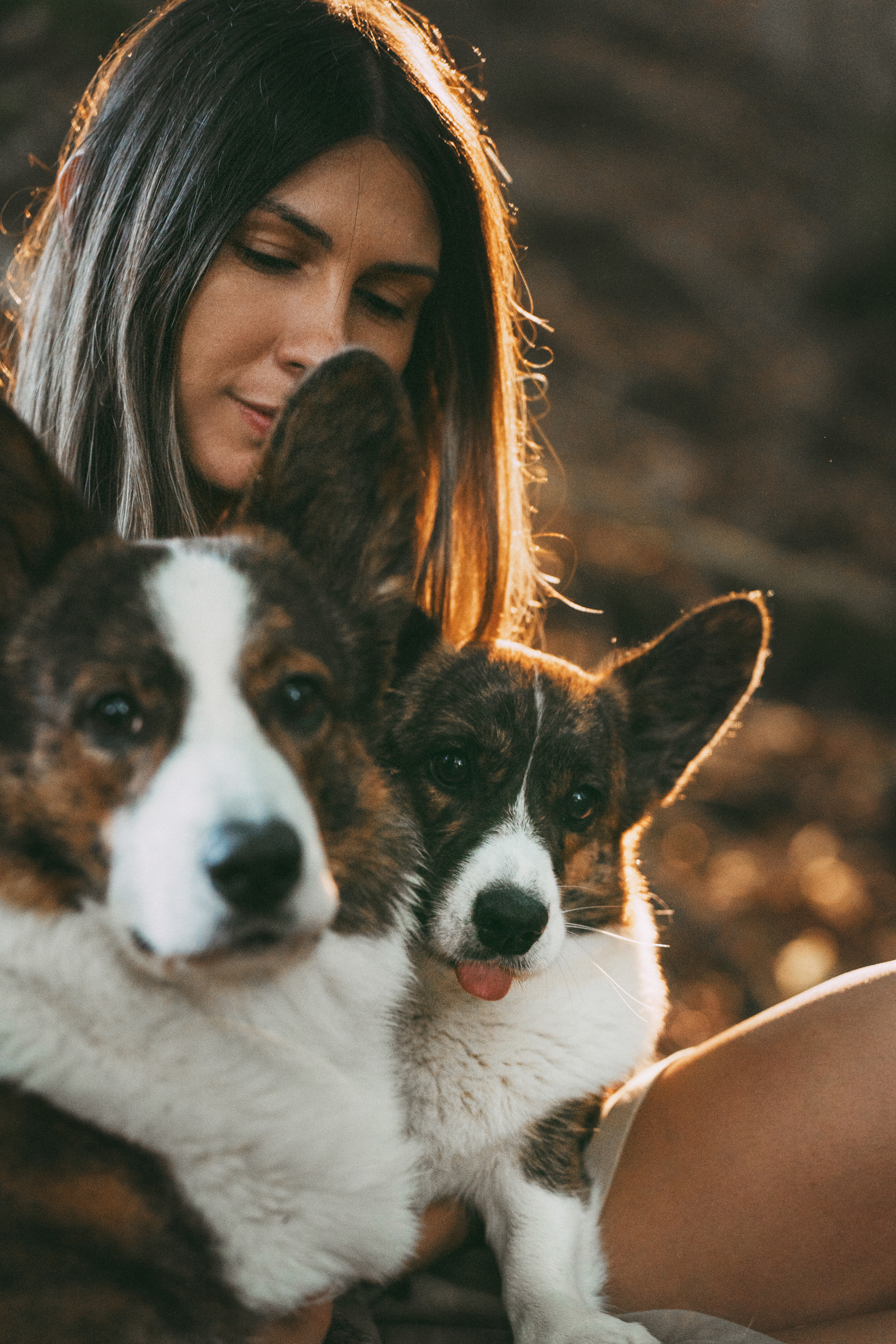 Влада и Коржики. Фотограф анималист в Москве и Санкт-Петербурге Свиридова Анна