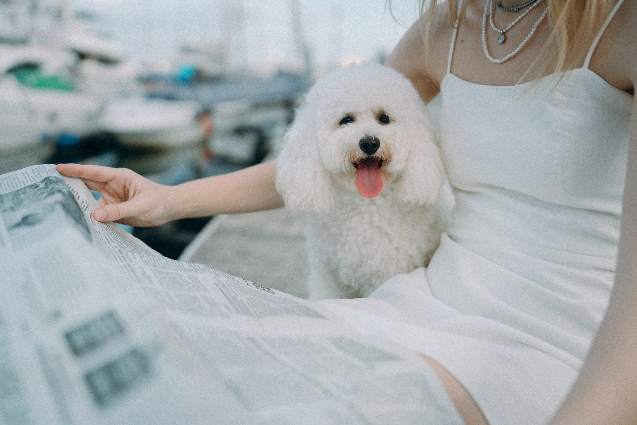 Ангелина и Варежка. Фотограф анималист в Москве и Санкт-Петербурге Свиридова Анна