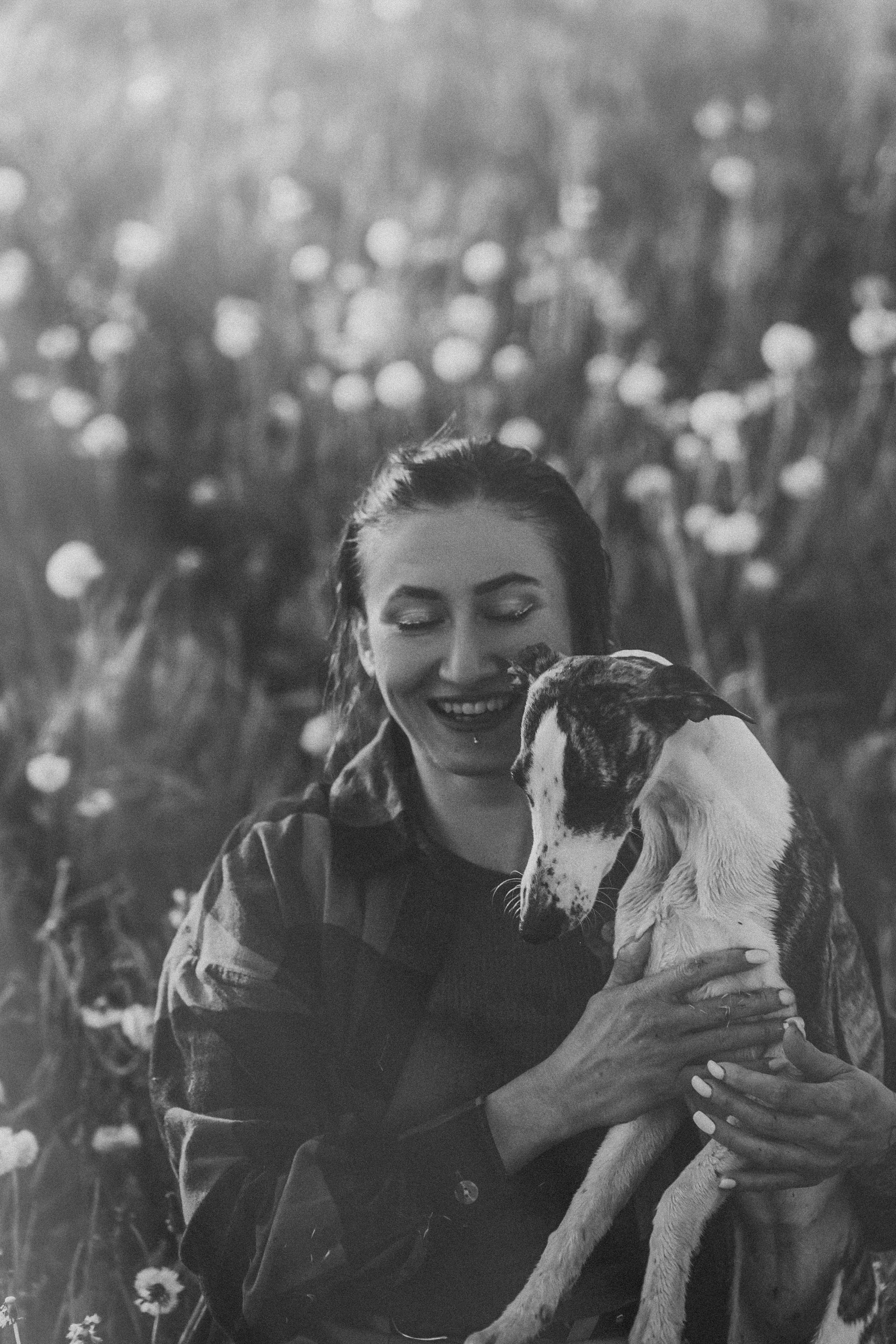 Софа, Уна и Лють. Фотограф анималист в Москве и Санкт-Петербурге Свиридова Анна