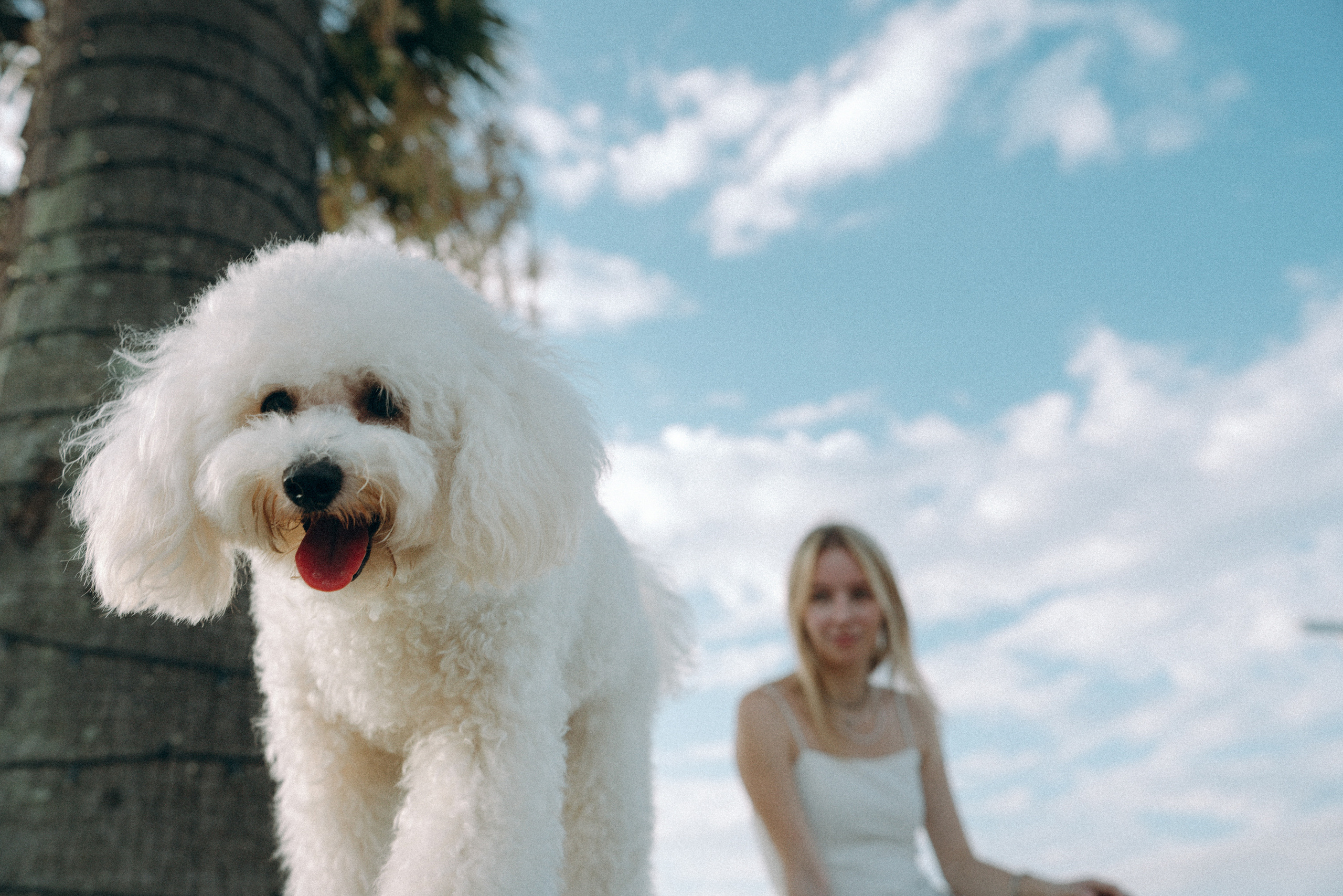 Ангелина и Варежка. Фотограф анималист в Москве и Санкт-Петербурге Свиридова Анна