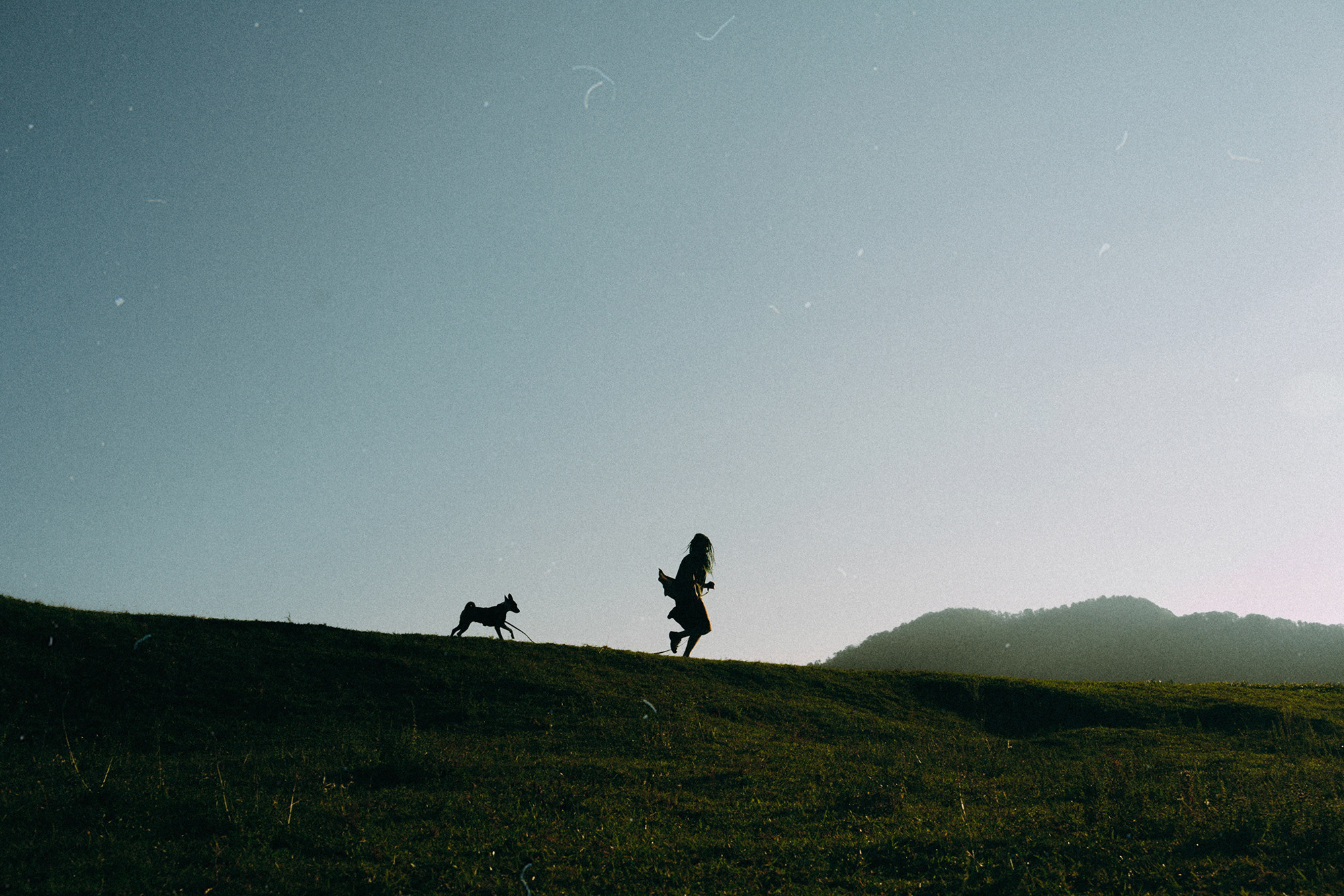 Арина и Рики. Фотограф анималист в Москве и Санкт-Петербурге Свиридова Анна