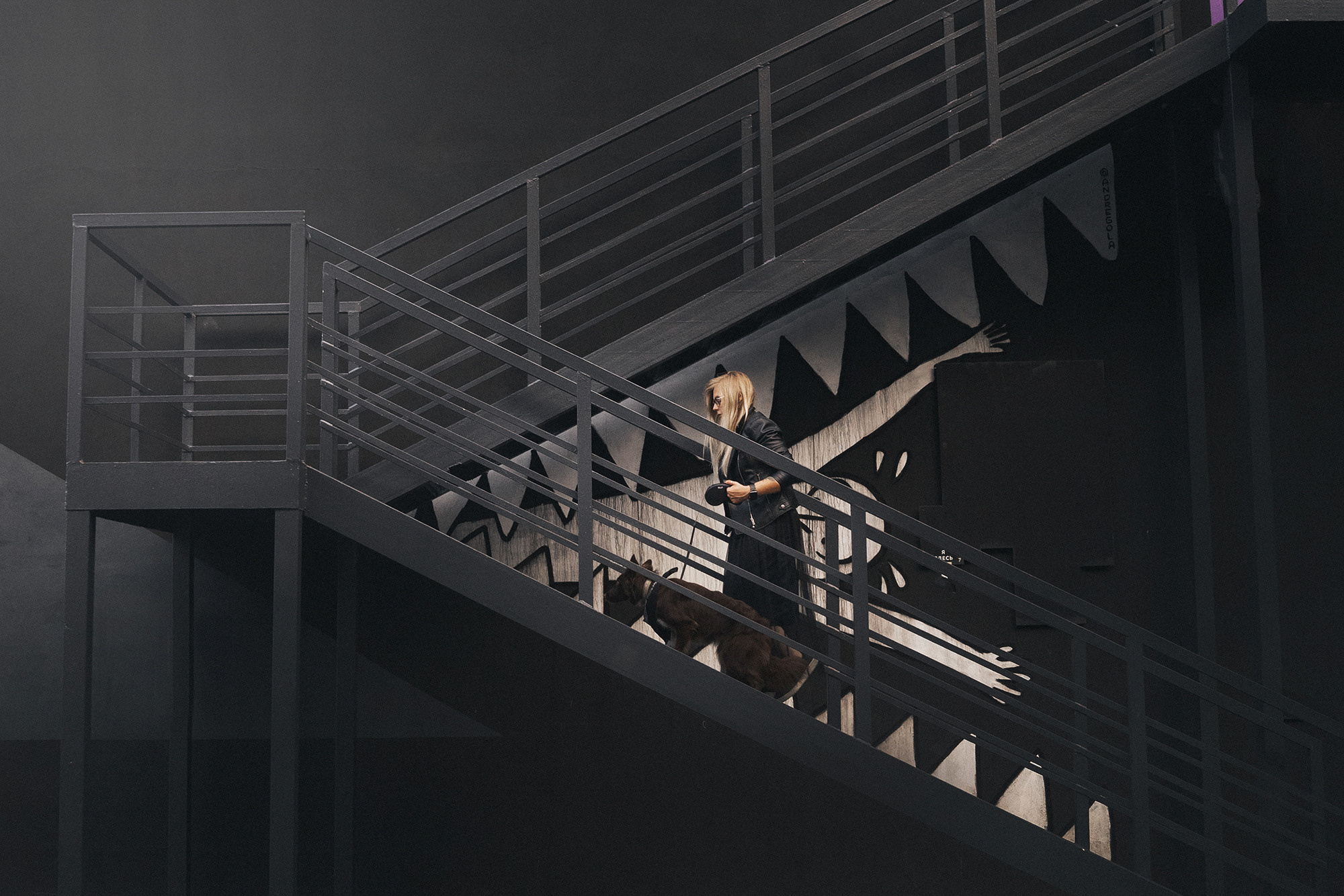 Аня и Брук. Фотограф анималист в Москве и Санкт-Петербурге Свиридова Анна