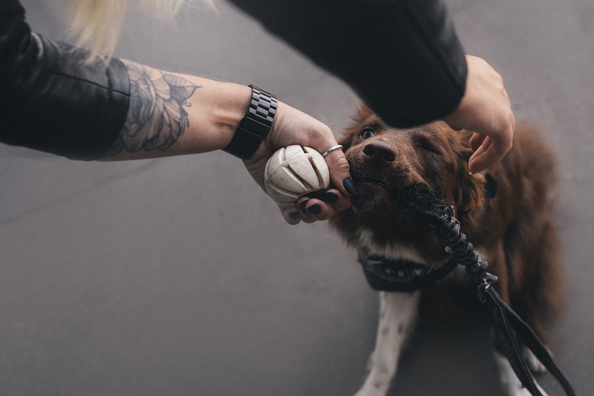 Аня и Брук. Фотограф анималист в Москве и Санкт-Петербурге Свиридова Анна