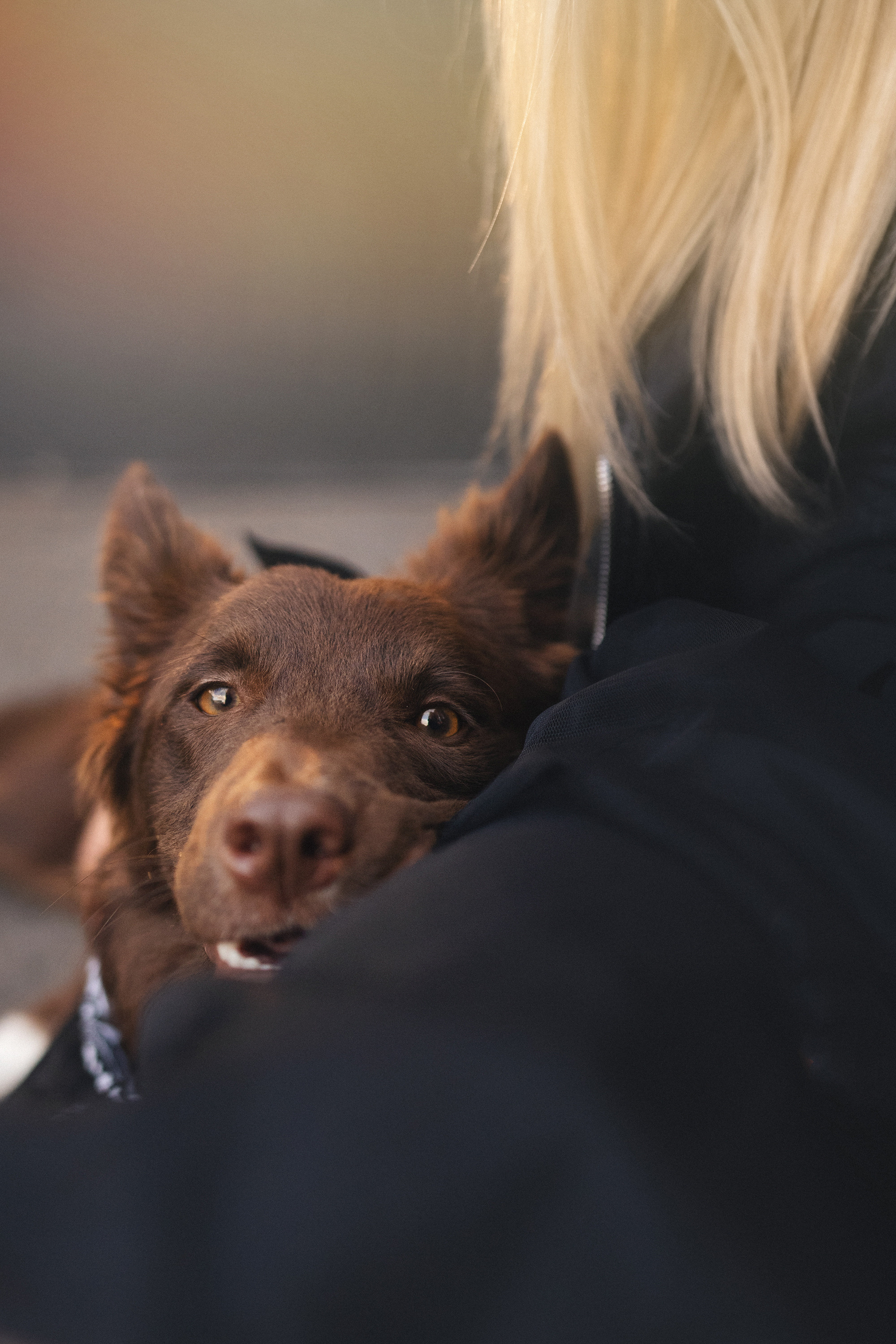 Аня и Брук. Фотограф анималист в Москве и Санкт-Петербурге Свиридова Анна