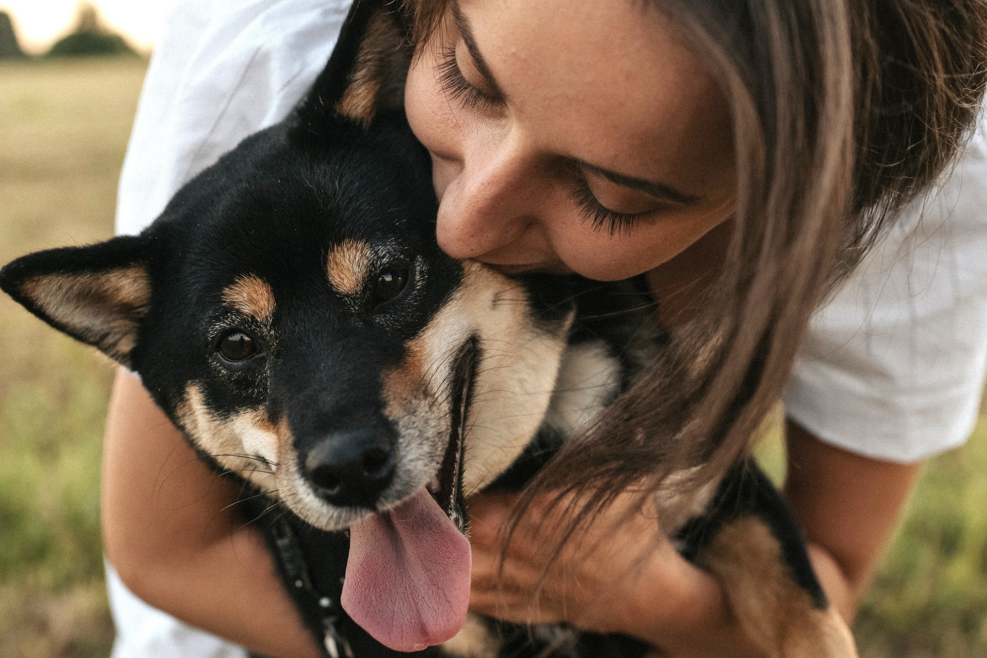 Катя, Вася, Роки и Бэлла. Фотограф анималист в Москве и Санкт-Петербурге Свиридова Анна