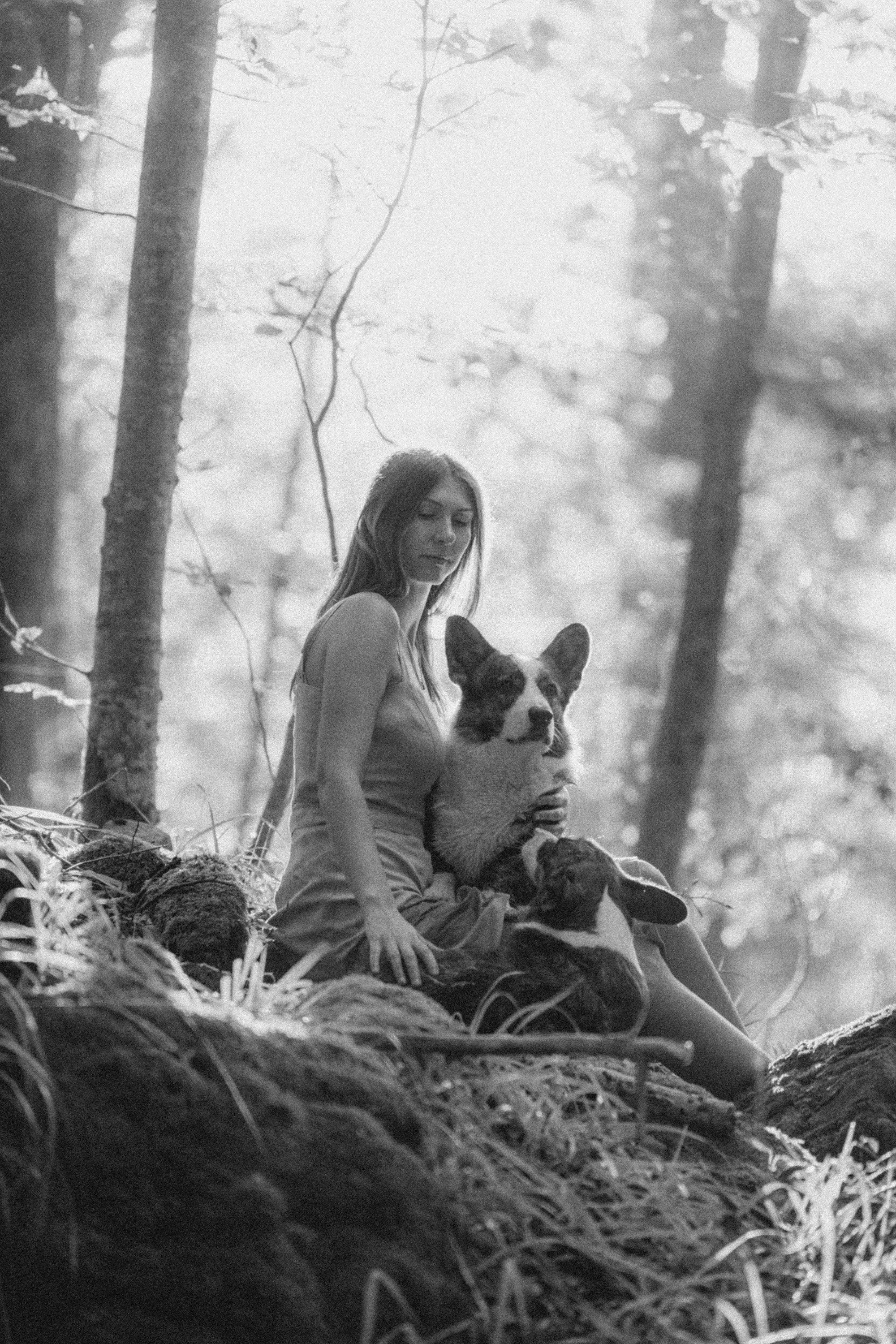 Влада и Коржики. Фотограф анималист в Москве и Санкт-Петербурге Свиридова Анна