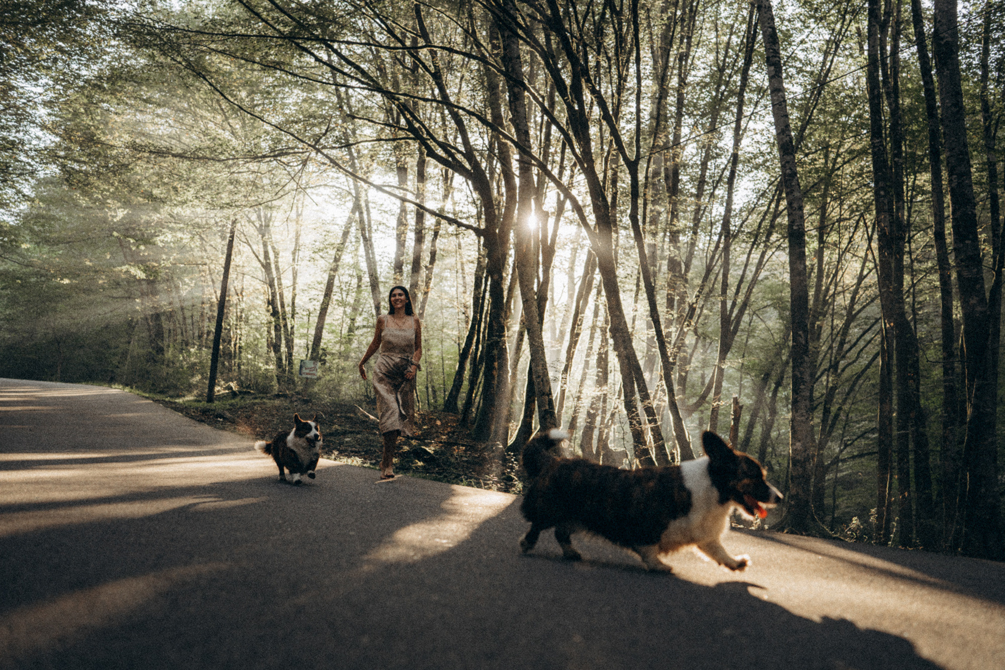 Влада и Коржики. Фотограф анималист в Москве и Санкт-Петербурге Свиридова Анна