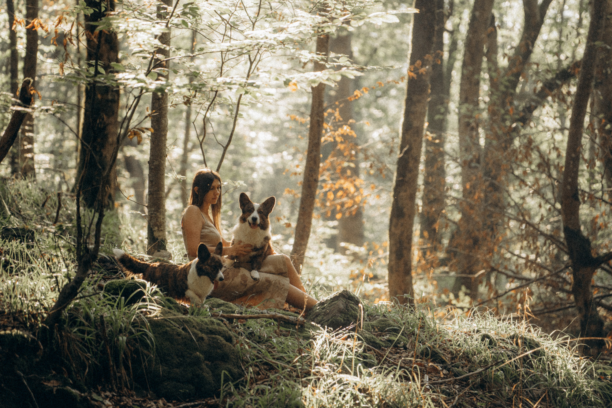 Влада и Коржики. Фотограф анималист в Москве и Санкт-Петербурге Свиридова Анна