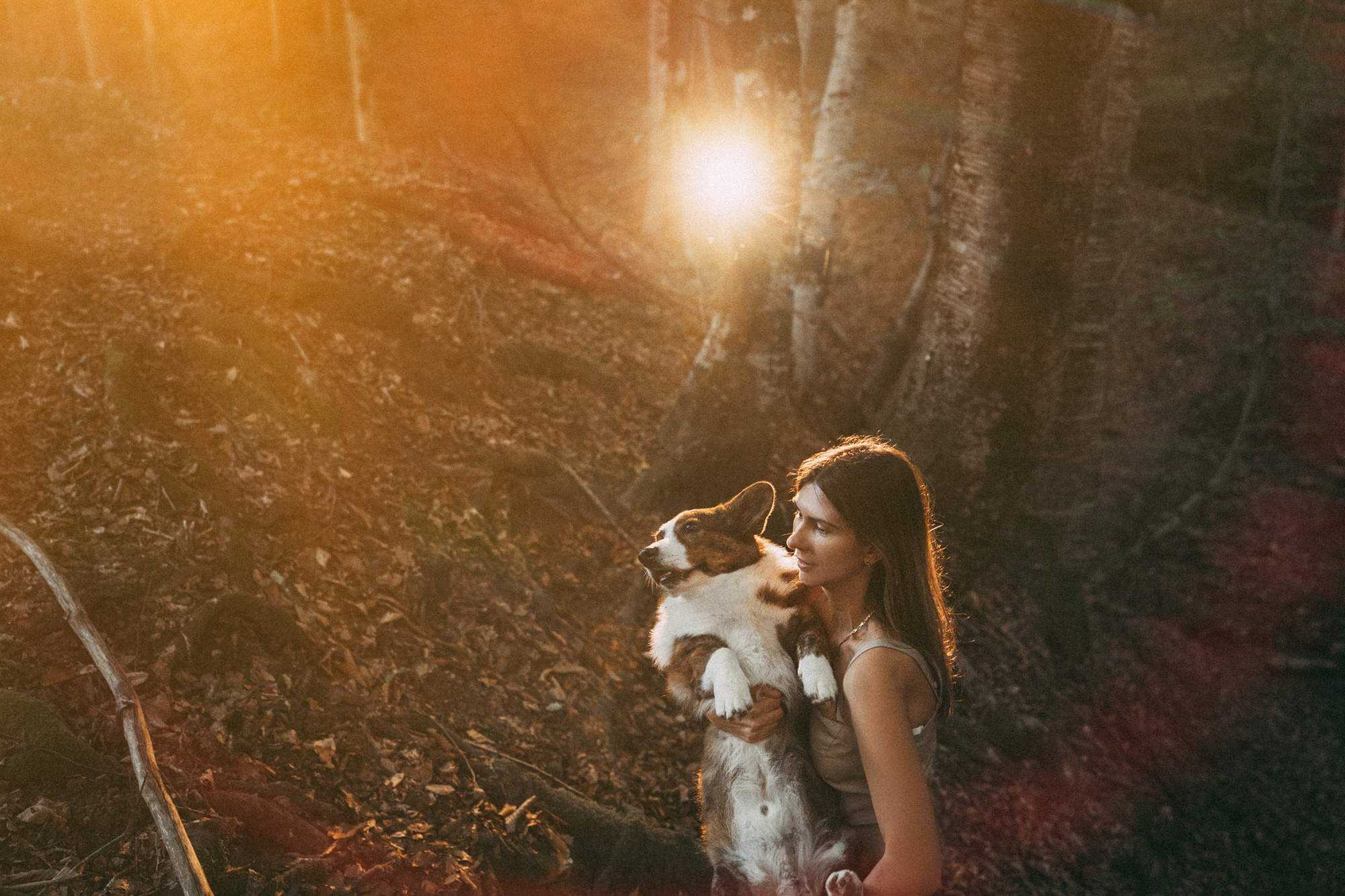 Влада и Коржики. Фотограф анималист в Москве и Санкт-Петербурге Свиридова Анна