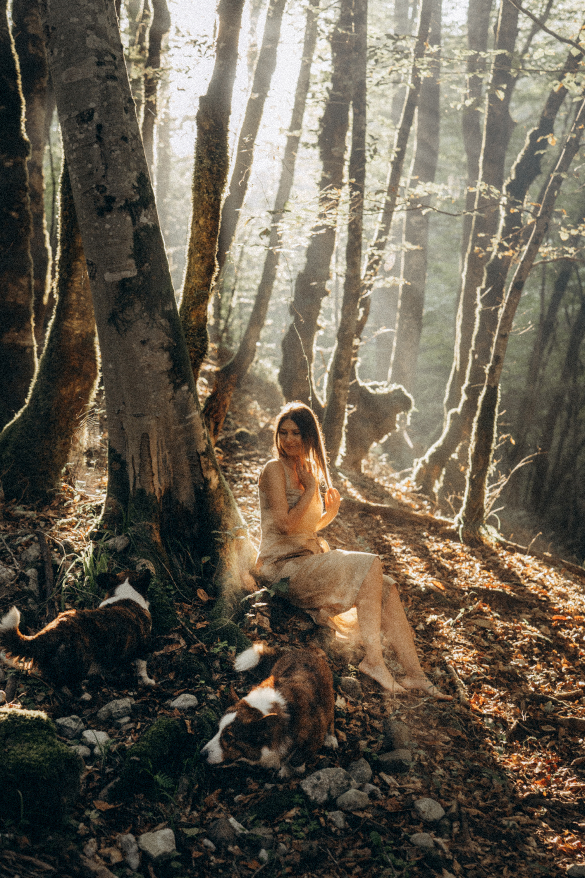 Влада и Коржики. Фотограф анималист в Москве и Санкт-Петербурге Свиридова Анна